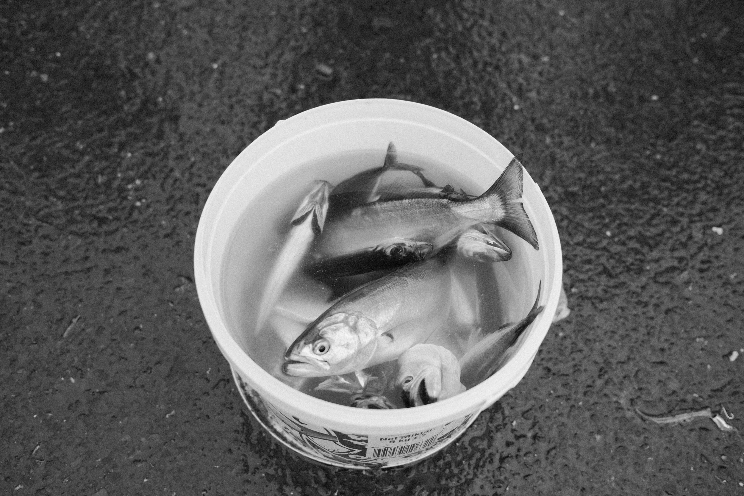 DSCF0576.jpg