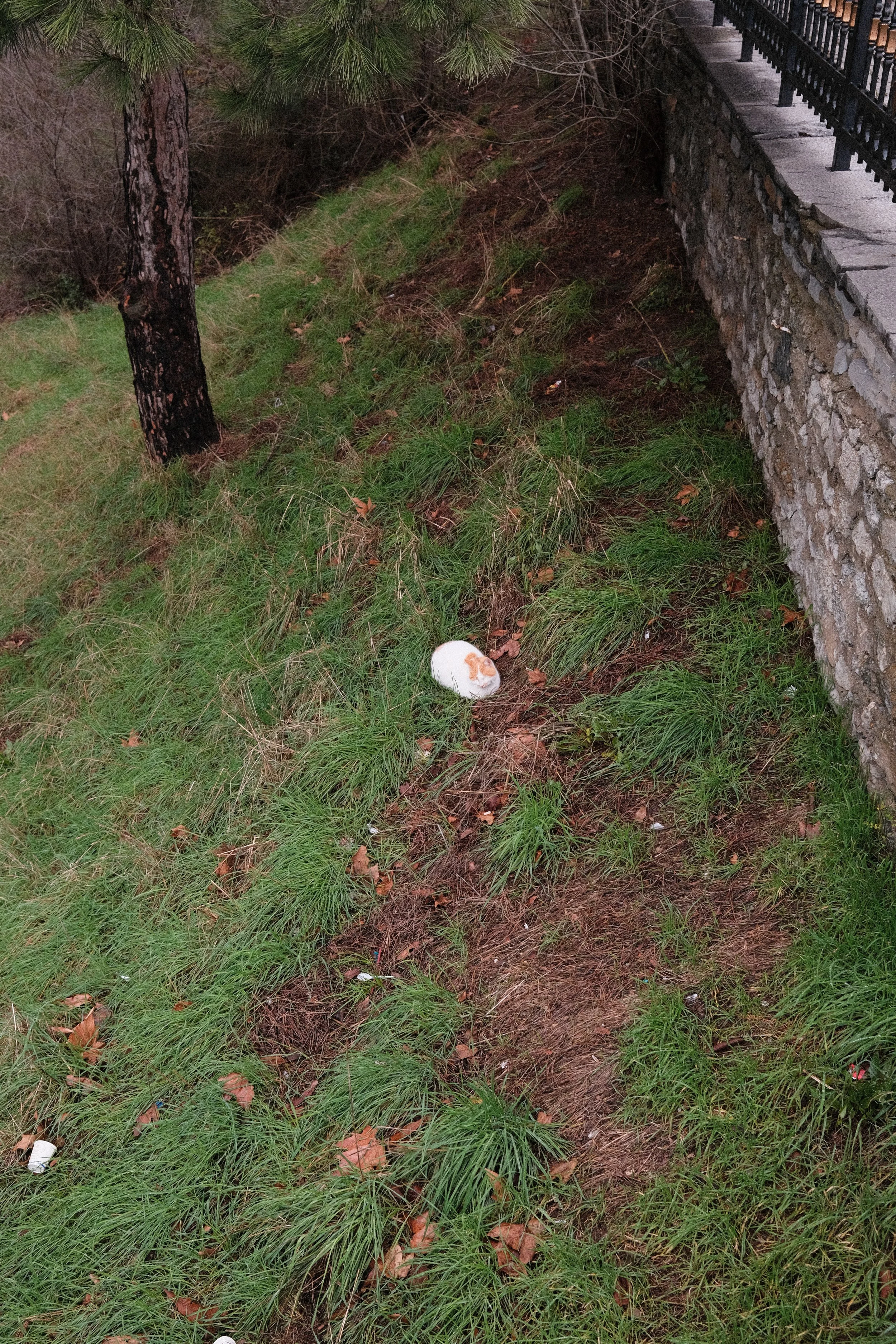 DSCF0790.jpg