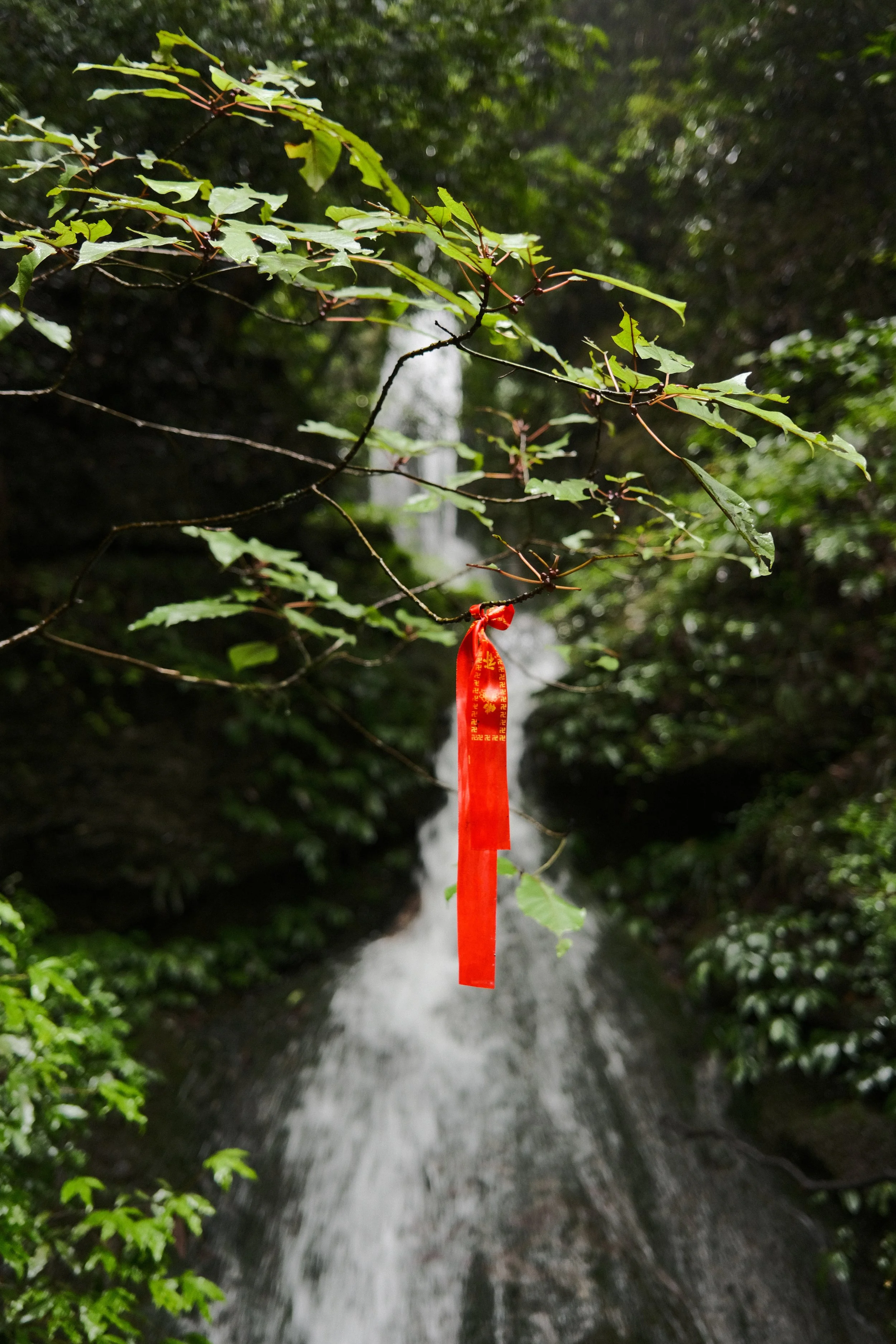 DSCF6080.jpg