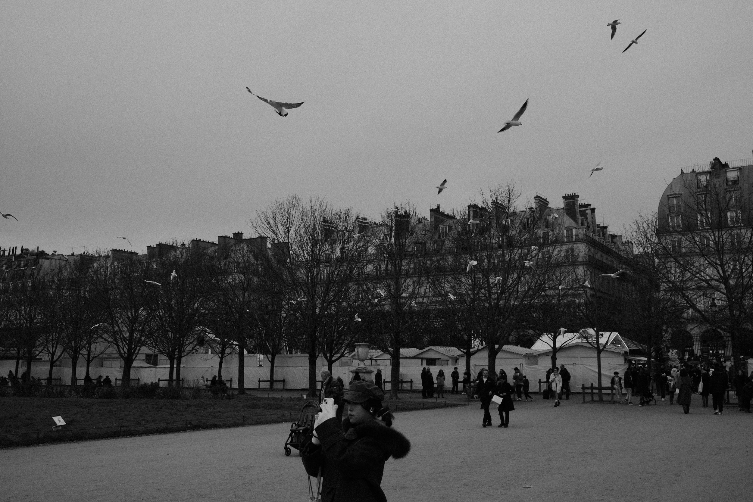 DSCF8863.jpg