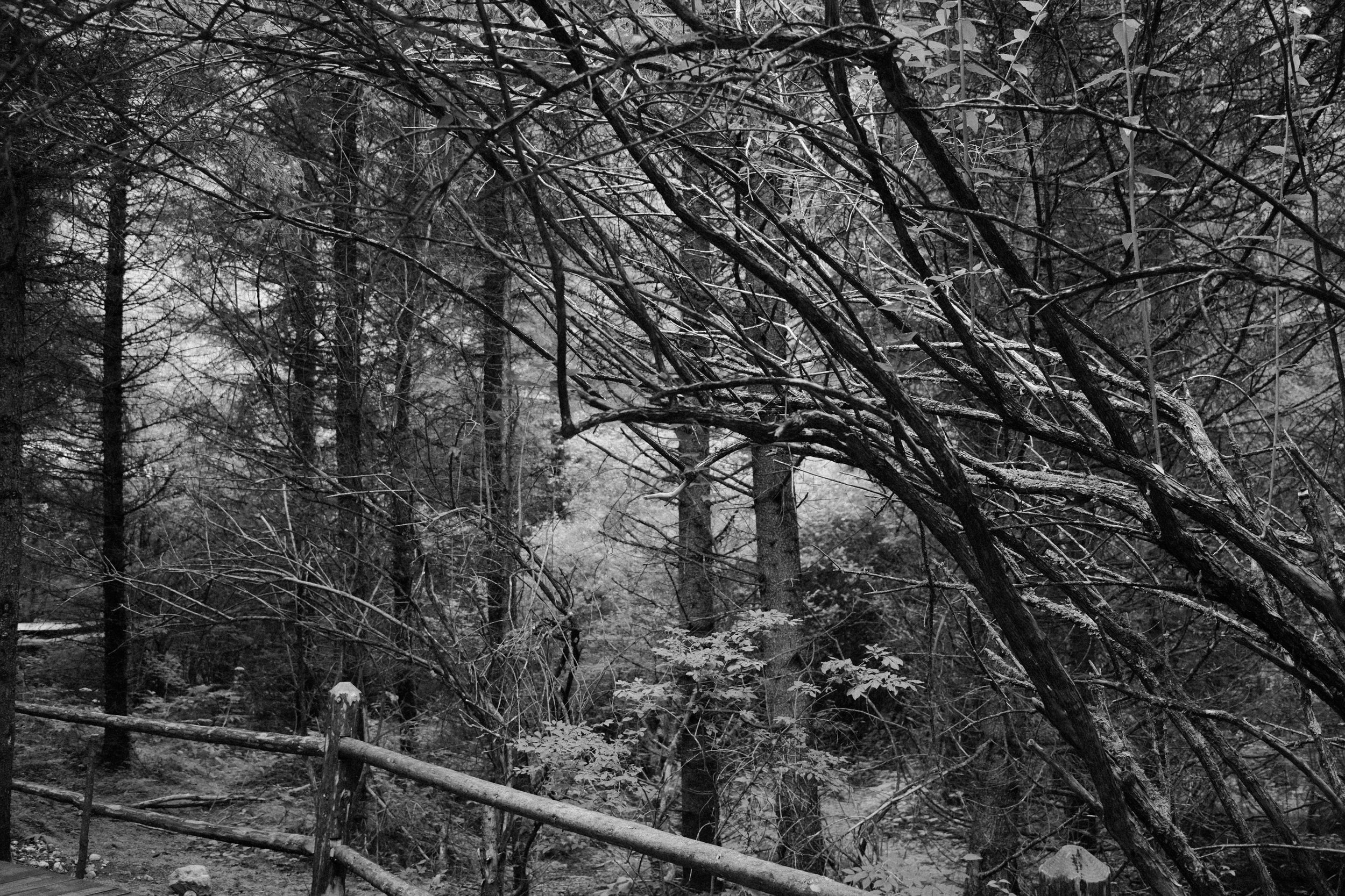 DSCF6218.jpg