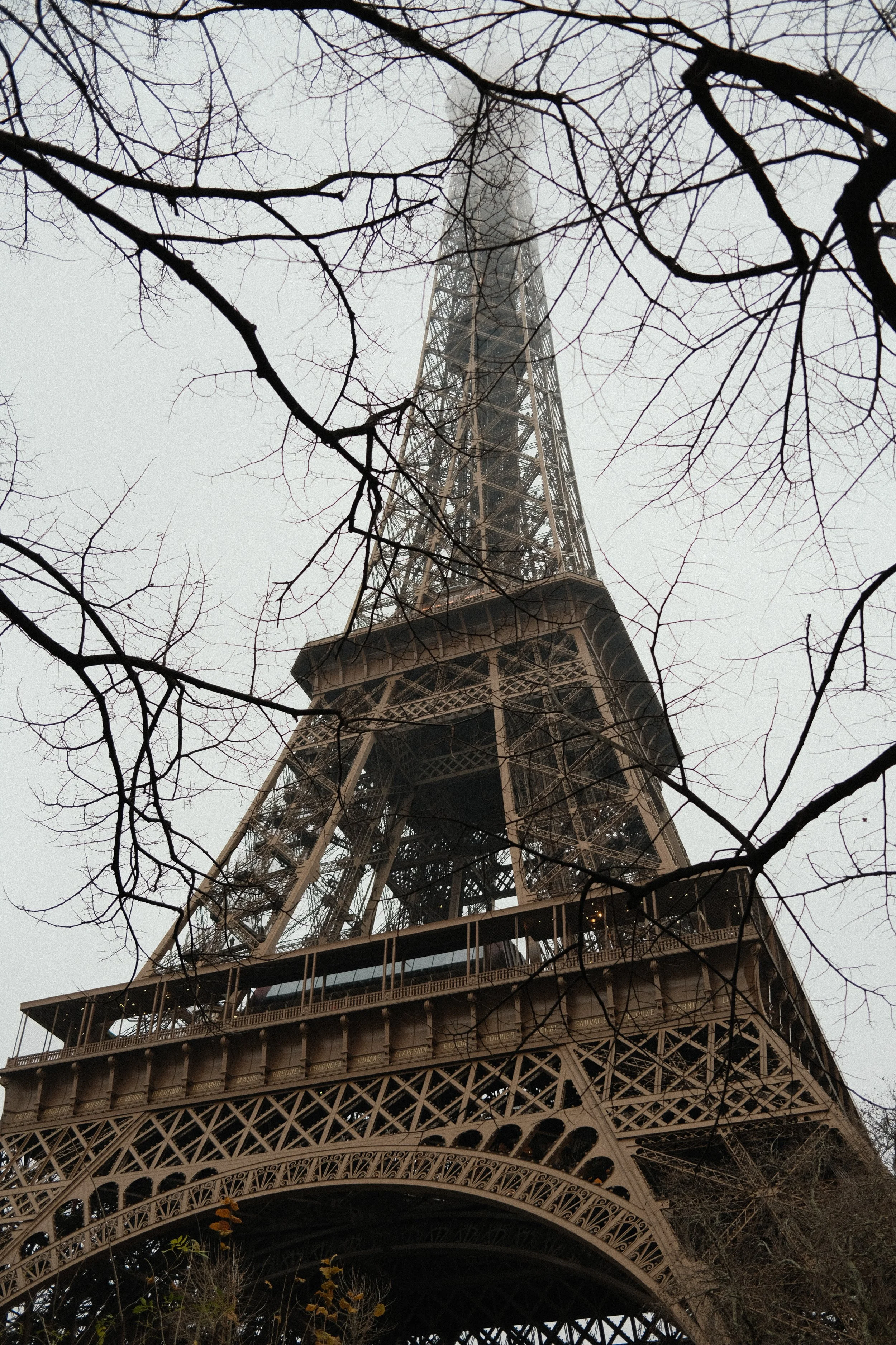 DSCF9085.jpg