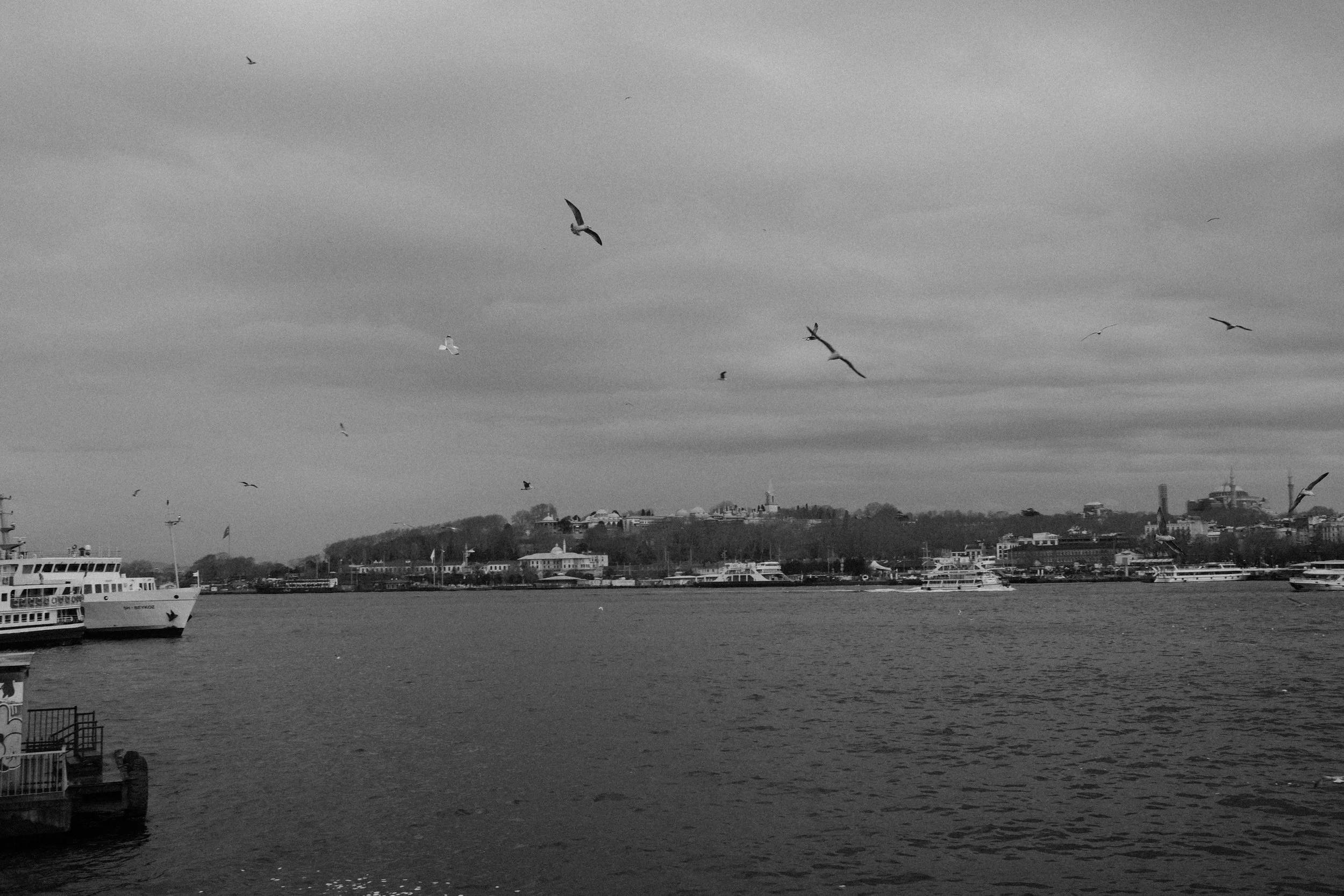 DSCF0528.jpg