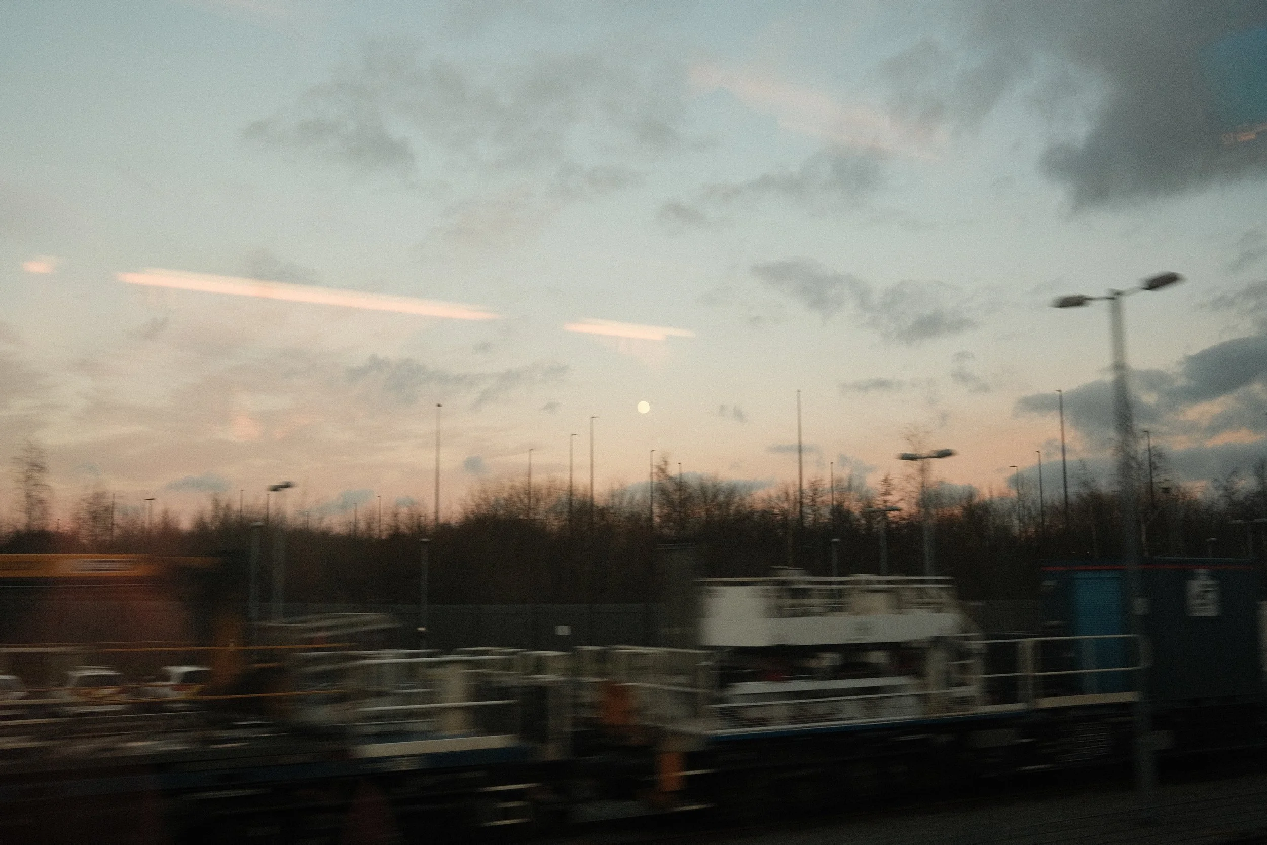 DSCF8356.jpg