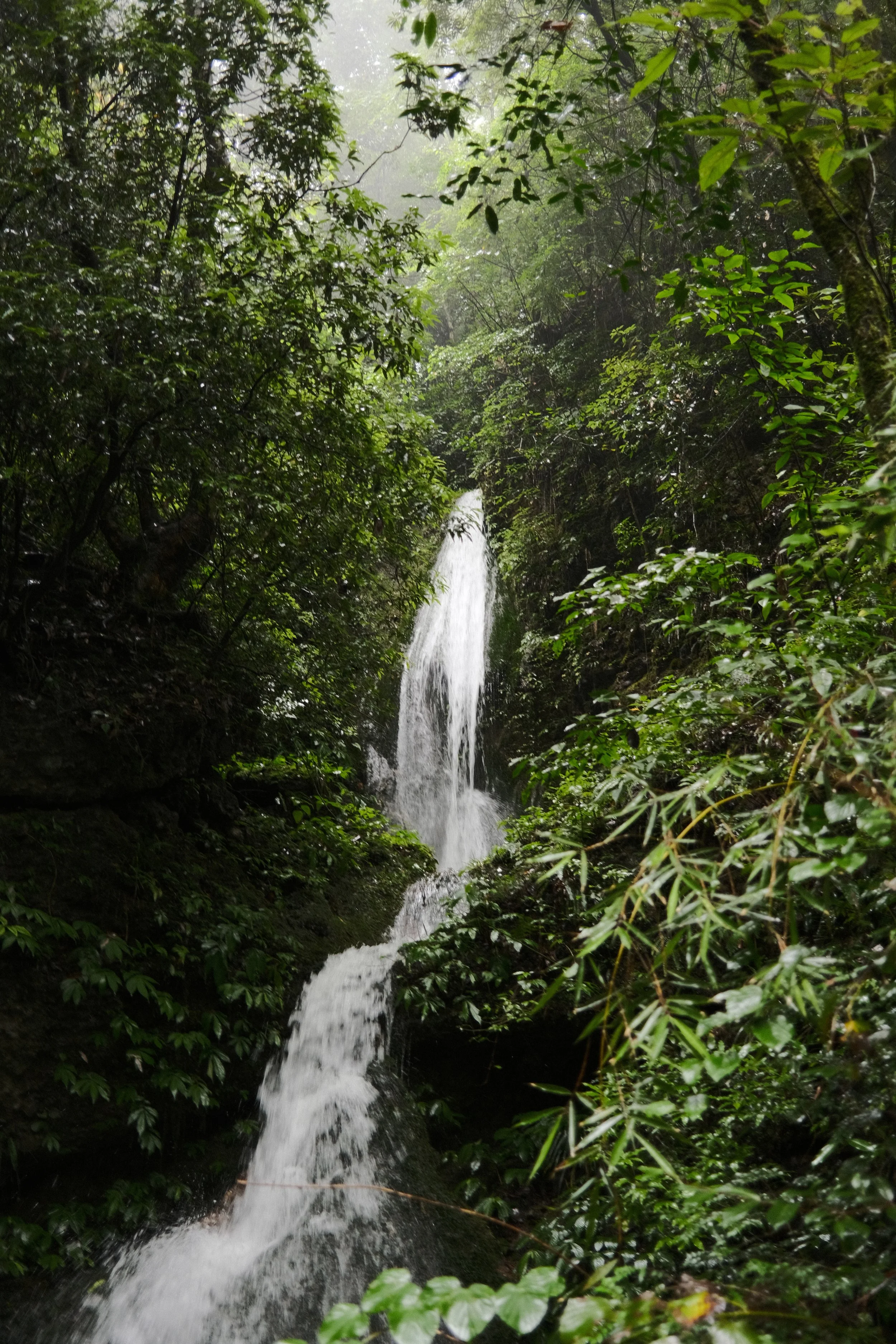 DSCF6084.jpg
