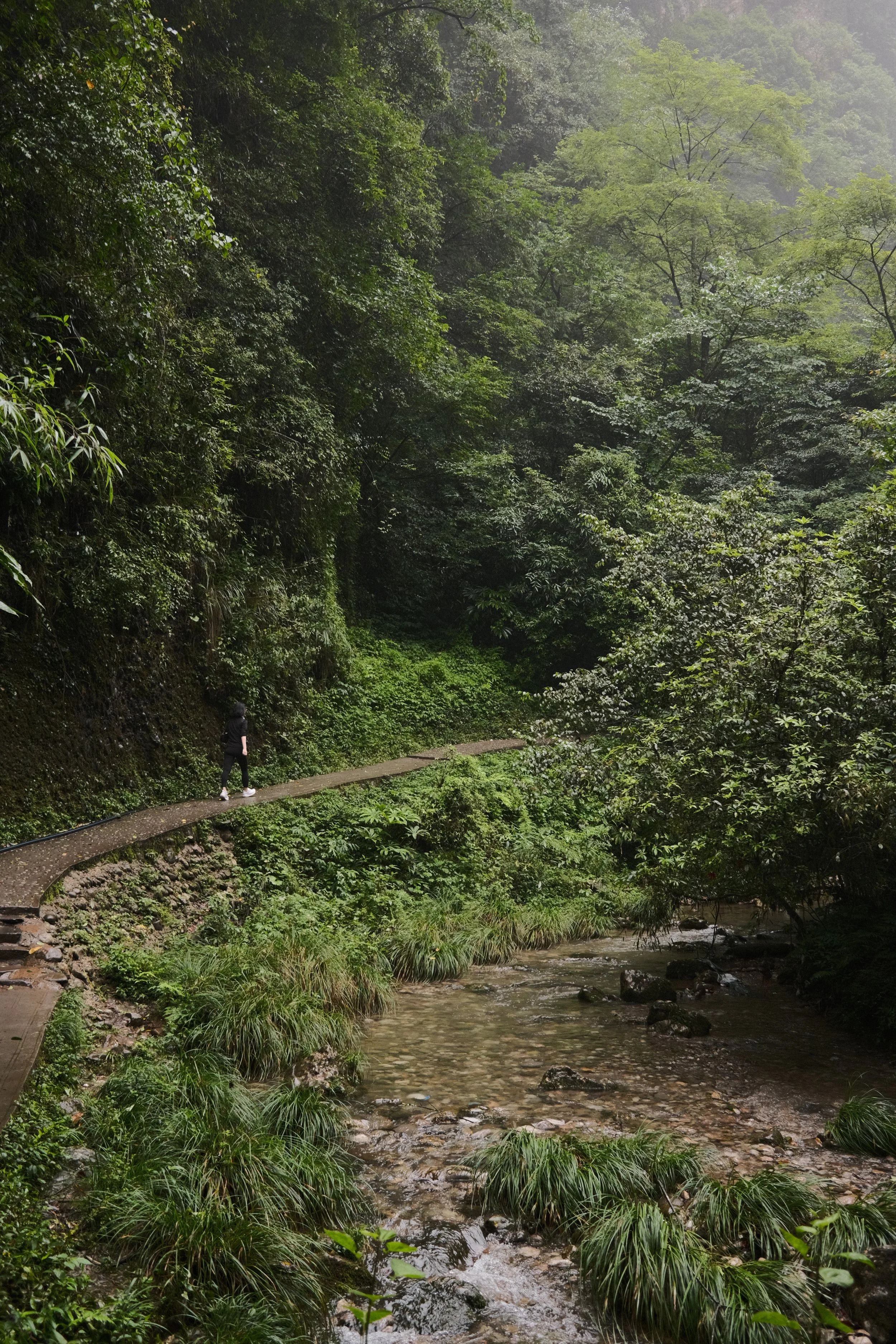 DSCF6040.jpg