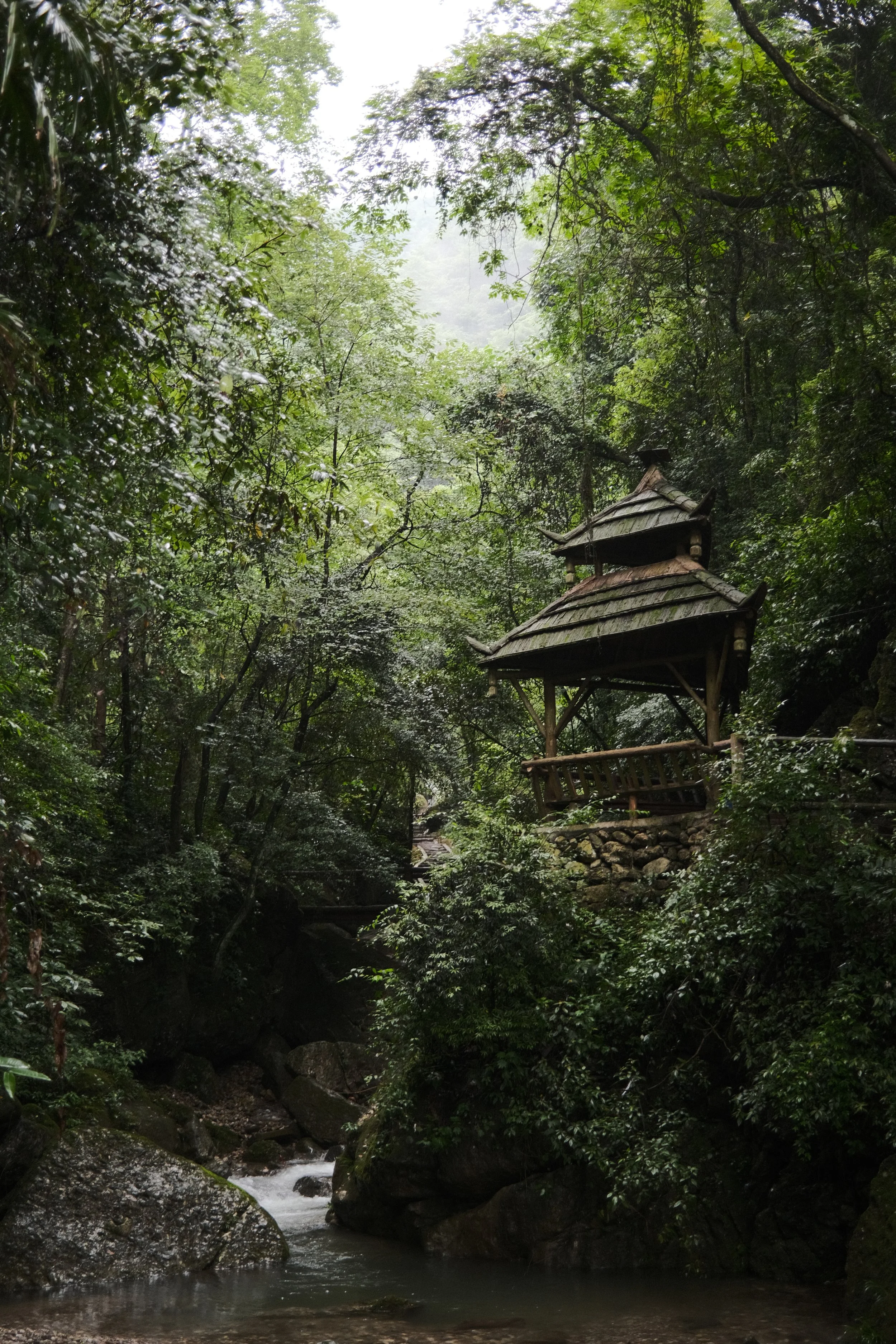 DSCF5968.jpg