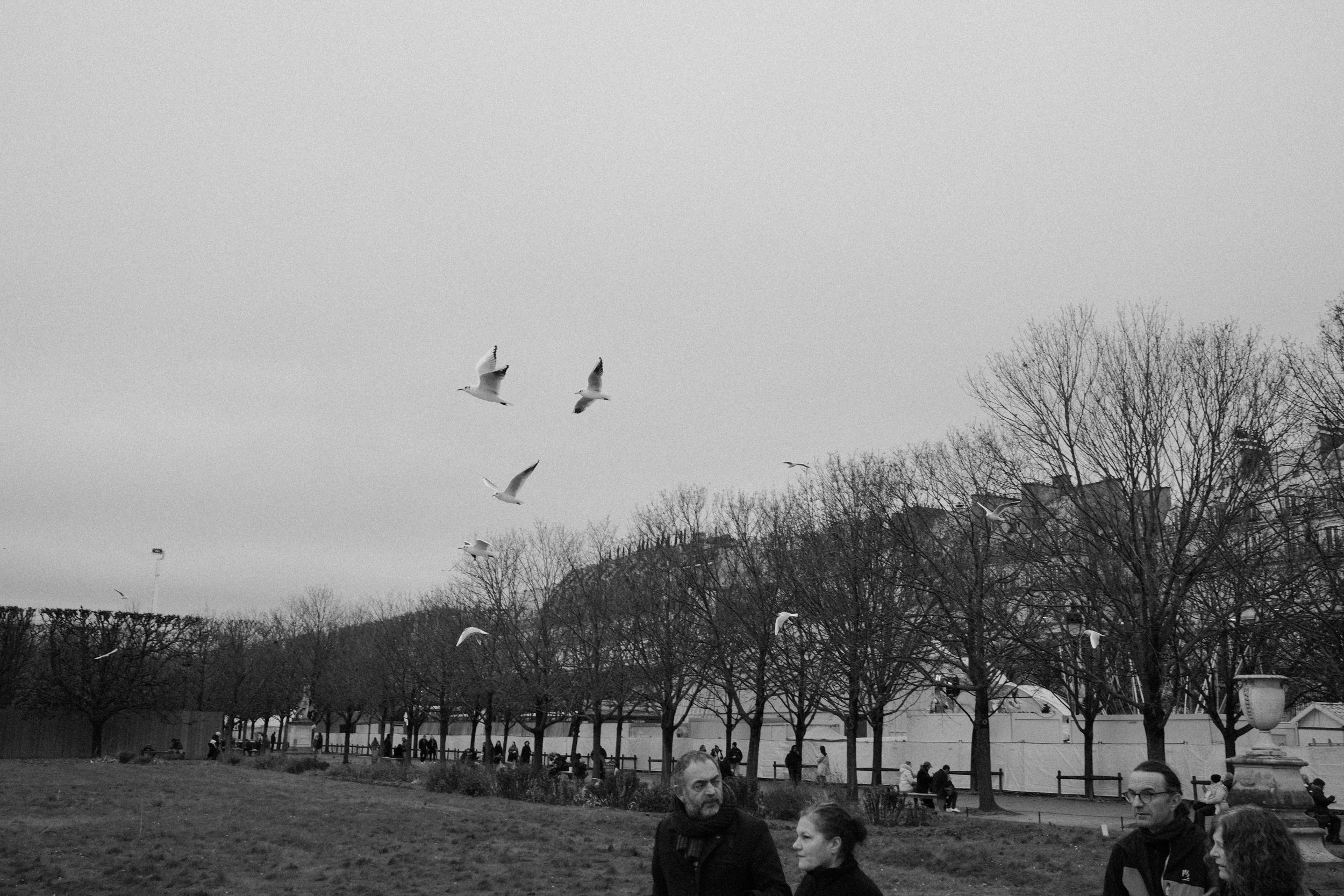DSCF8875.jpg