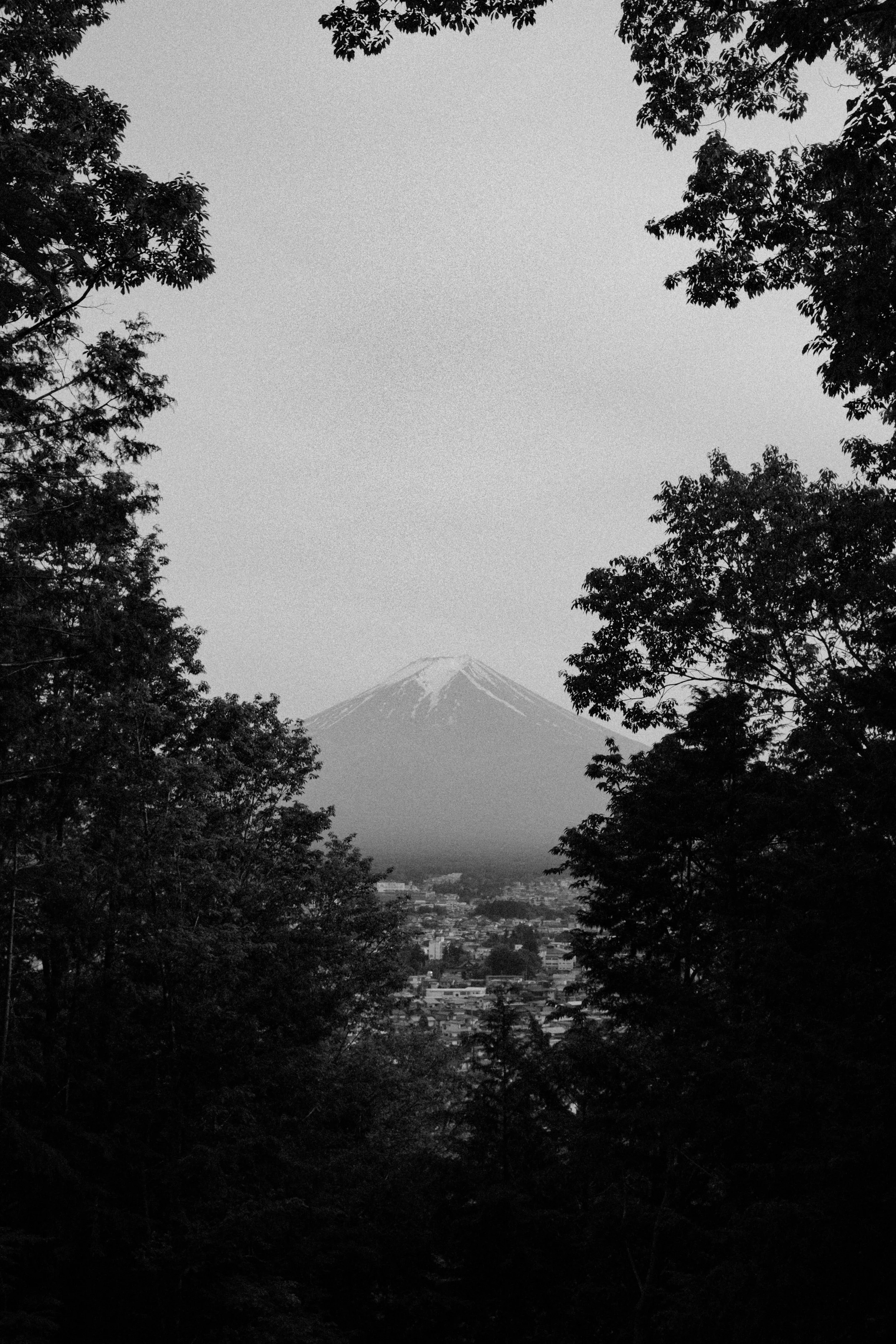 DSCF3875.jpg