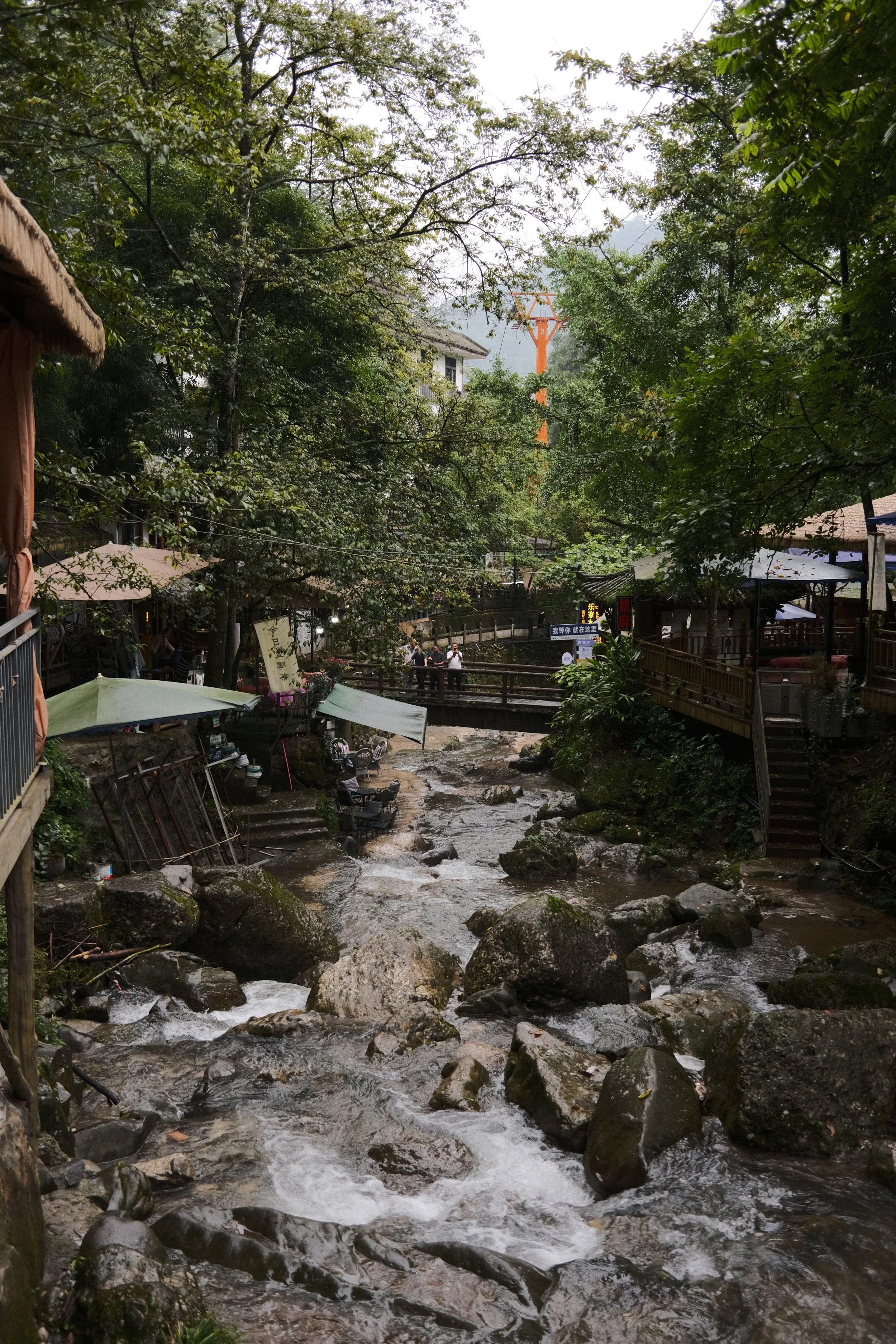 DSCF5956.jpg