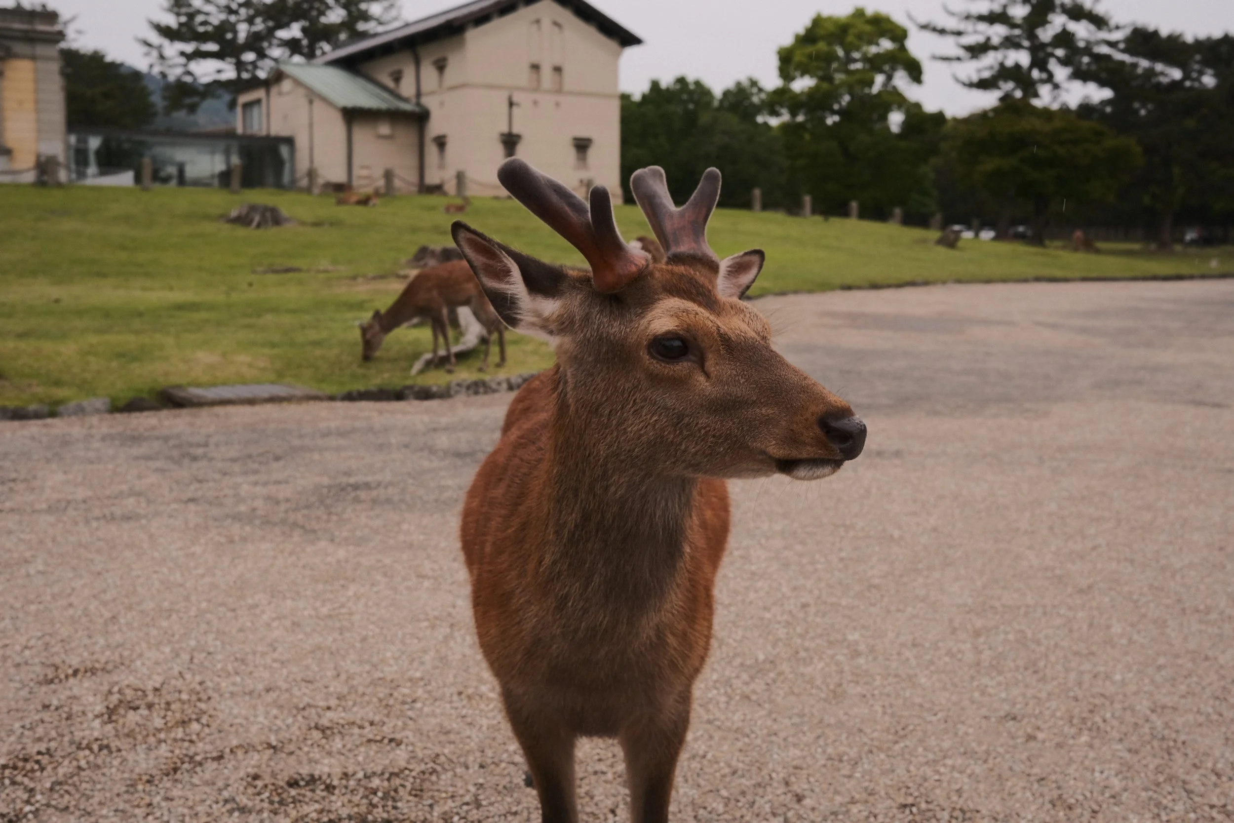 DSCF1762.jpg