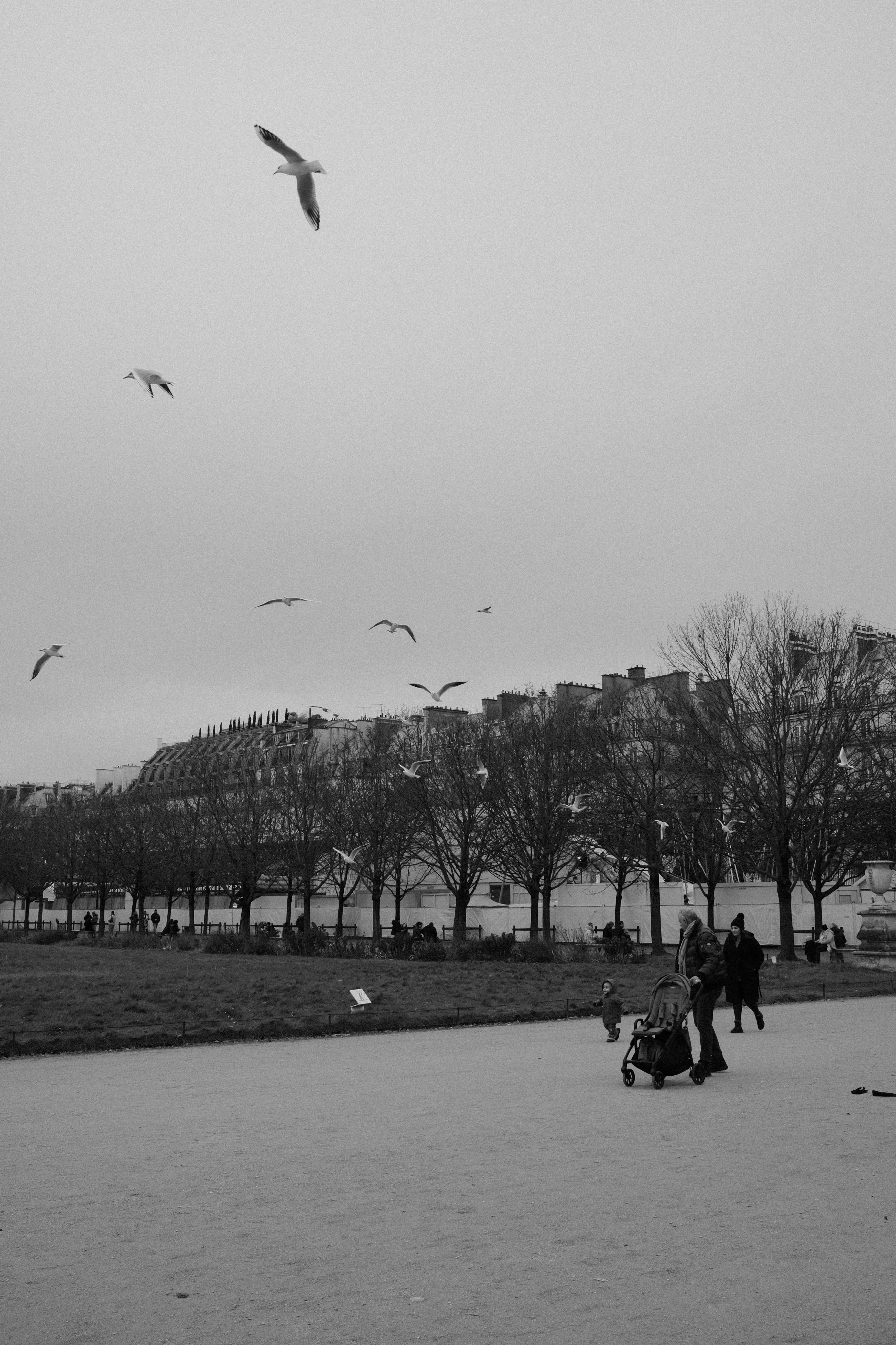 DSCF8867.jpg