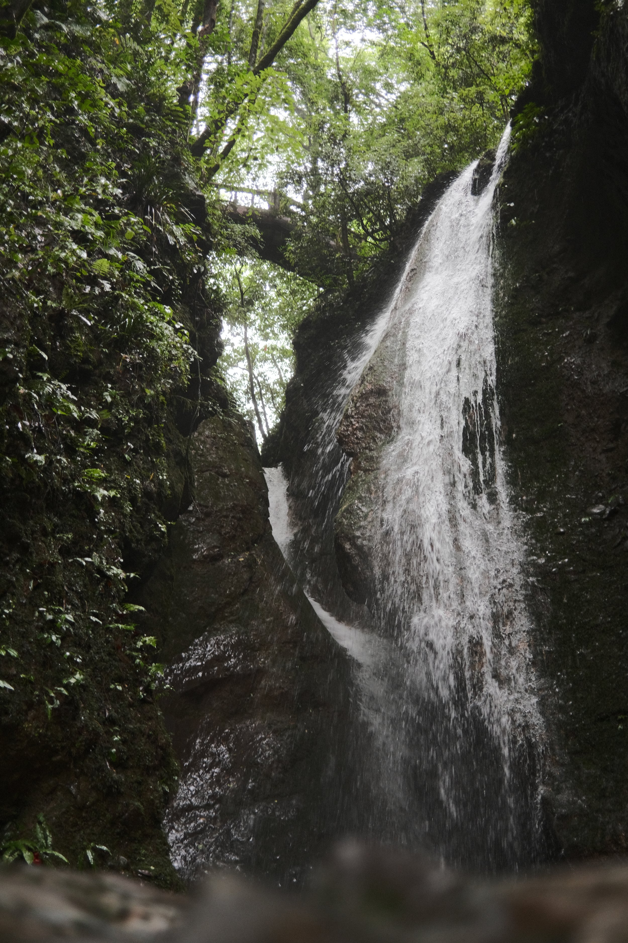 DSCF6070.jpg
