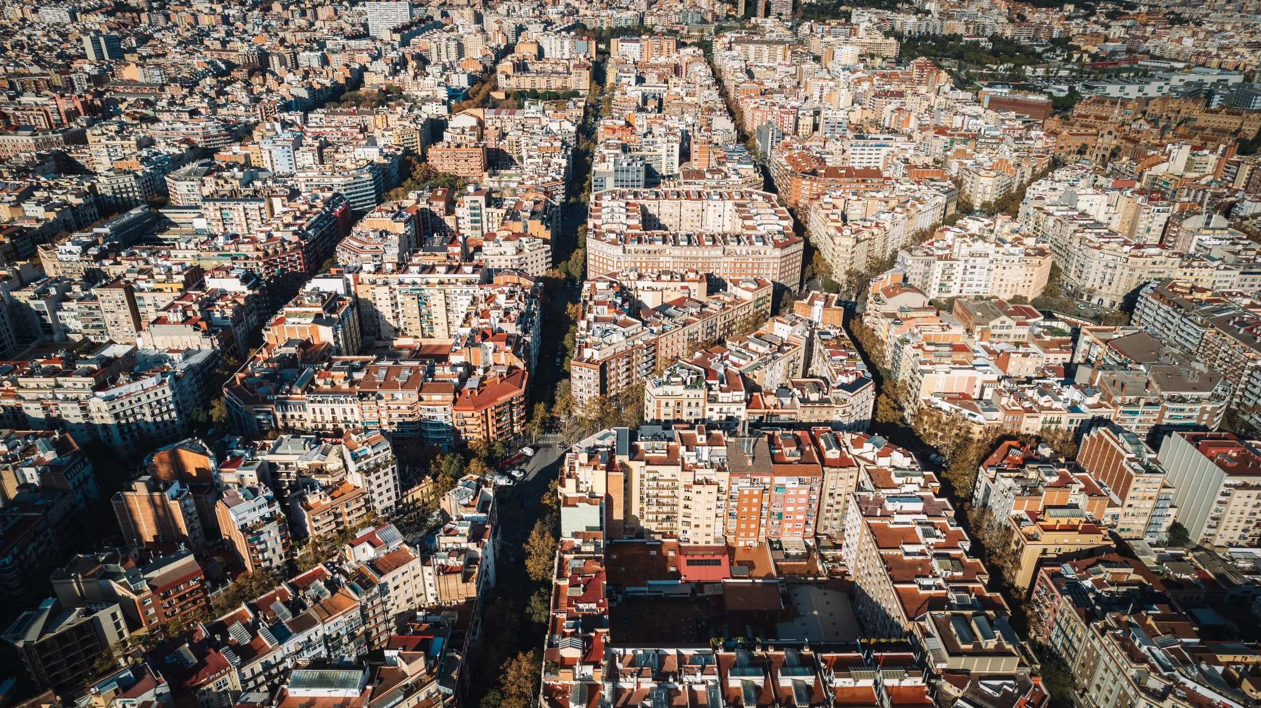 DJI_0436.jpg