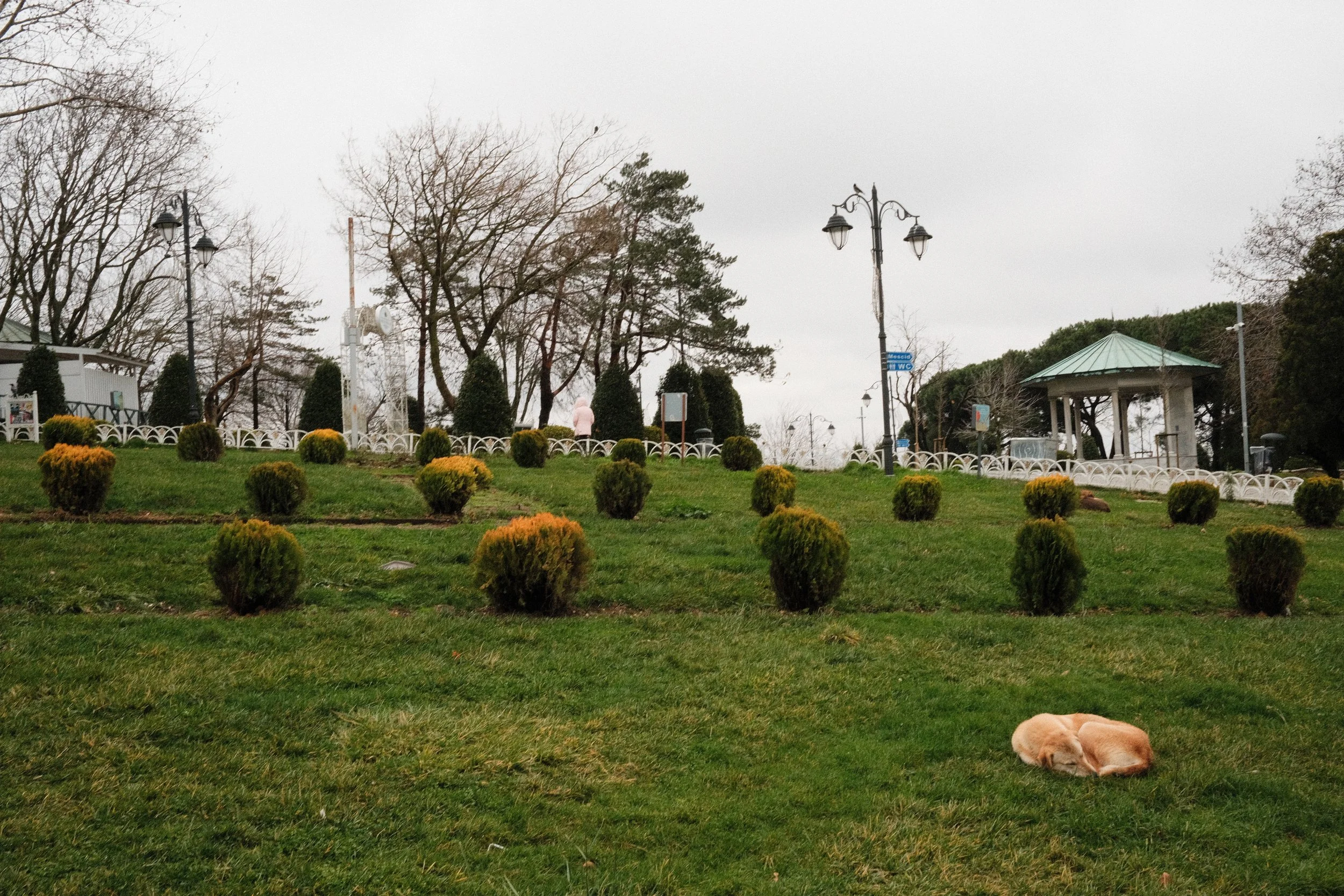 DSCF0812.jpg
