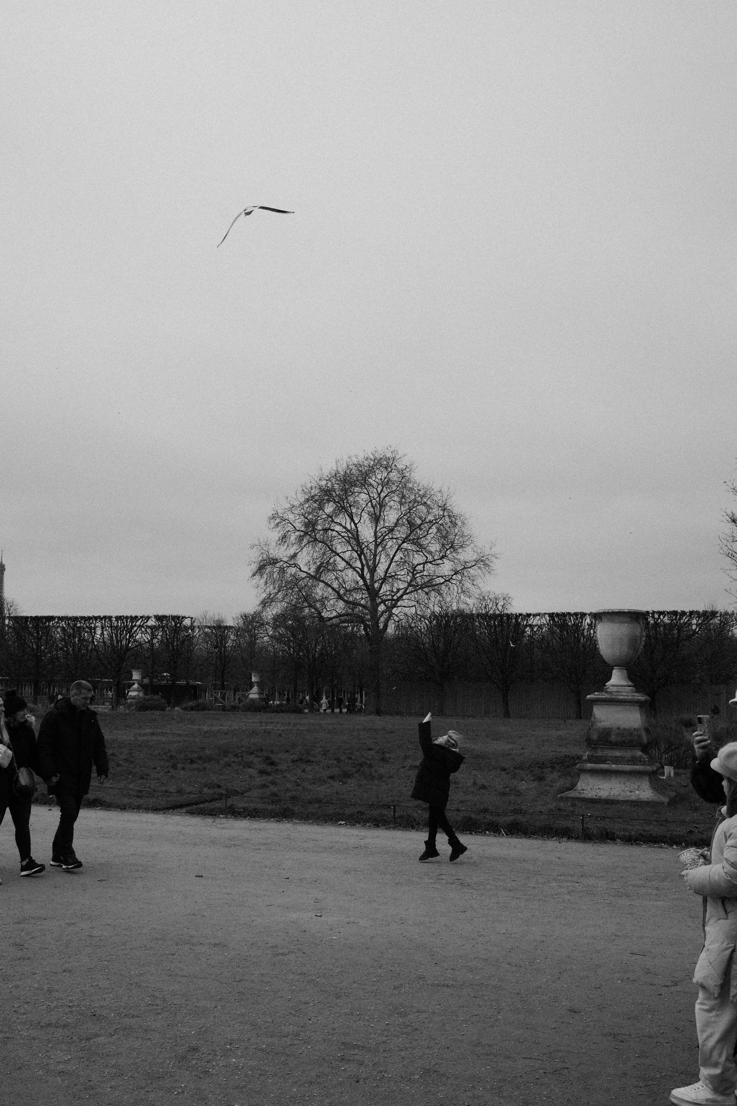 DSCF8906.jpg