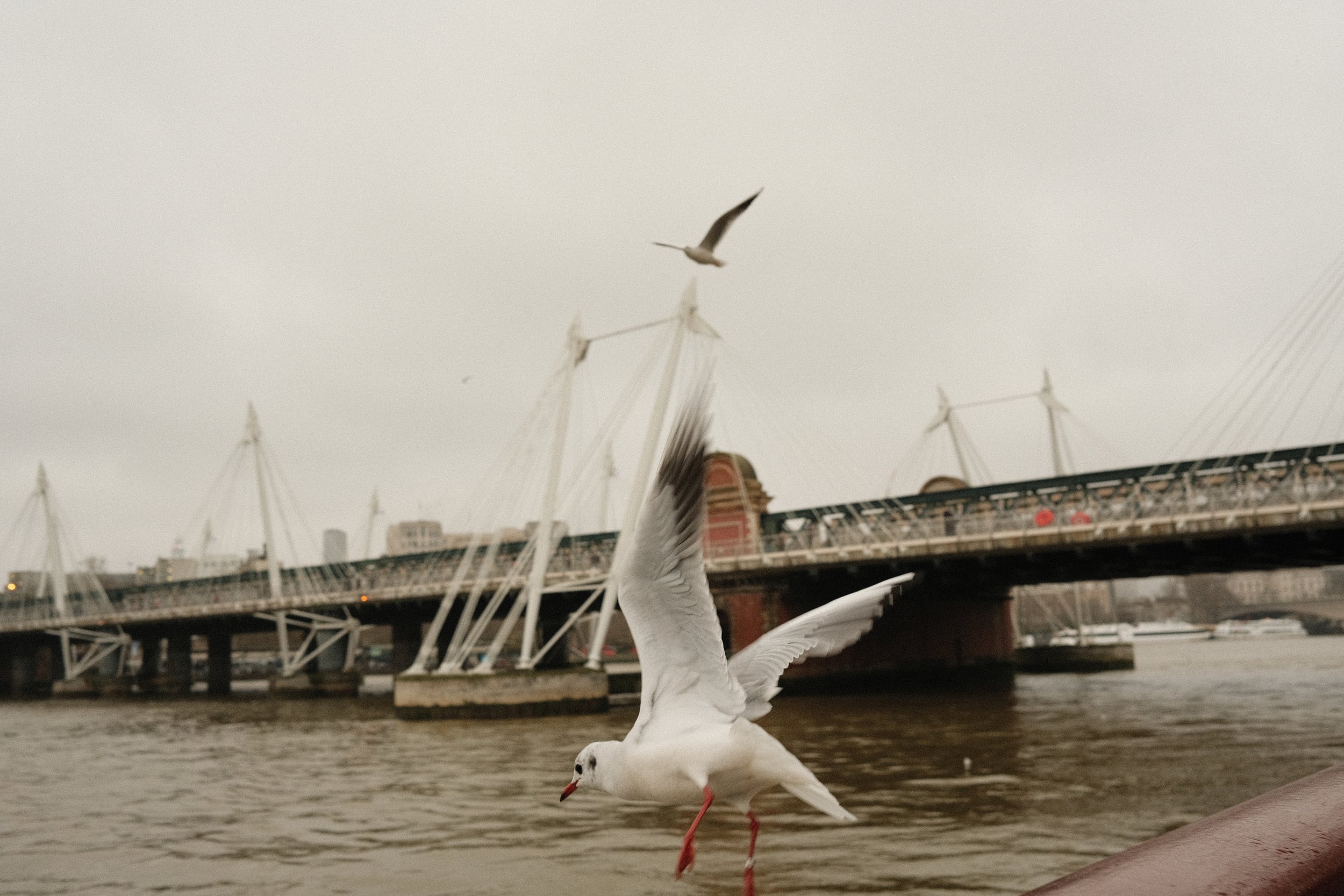 DSCF8086.jpg