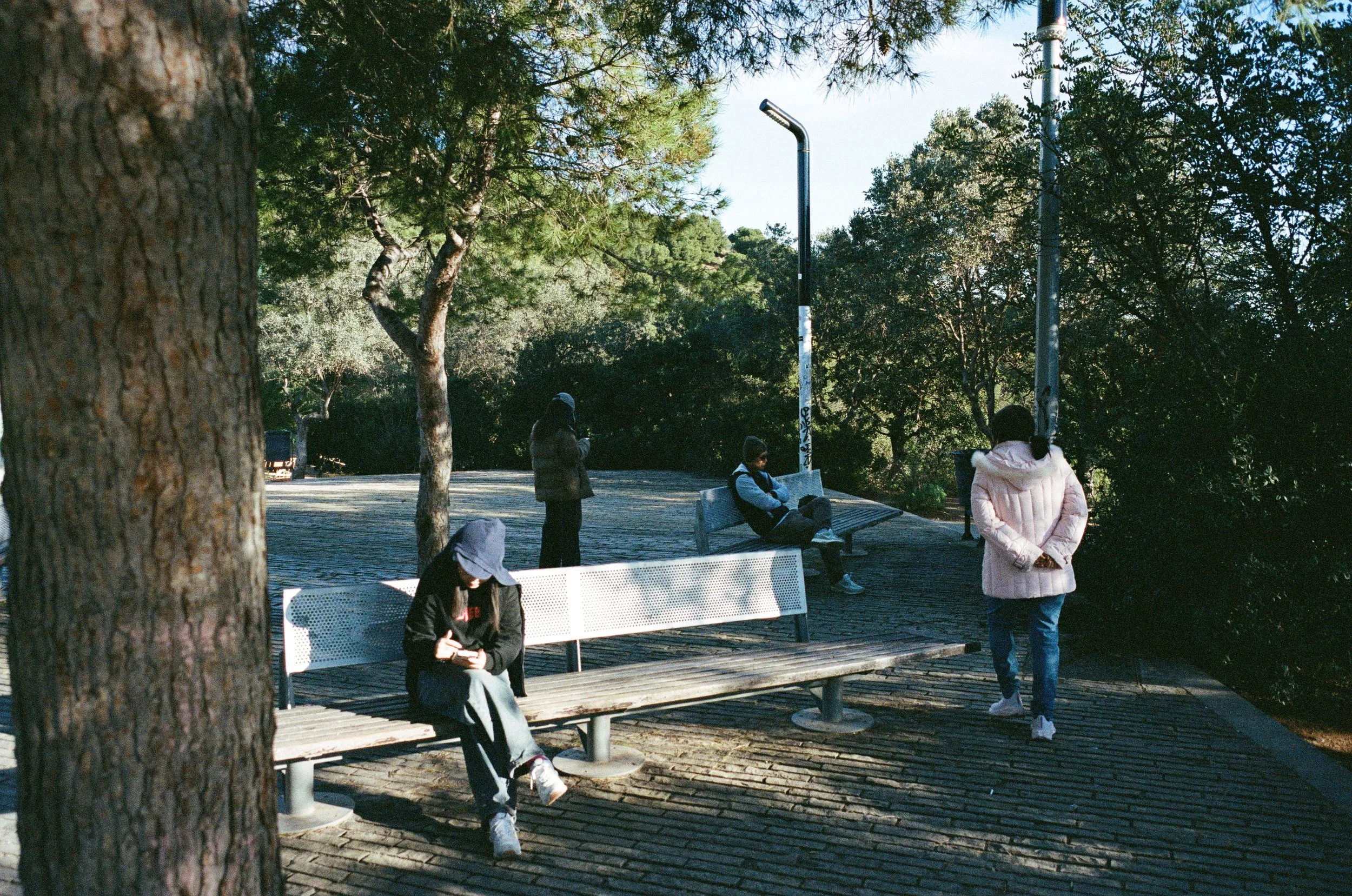 001759510029.jpg