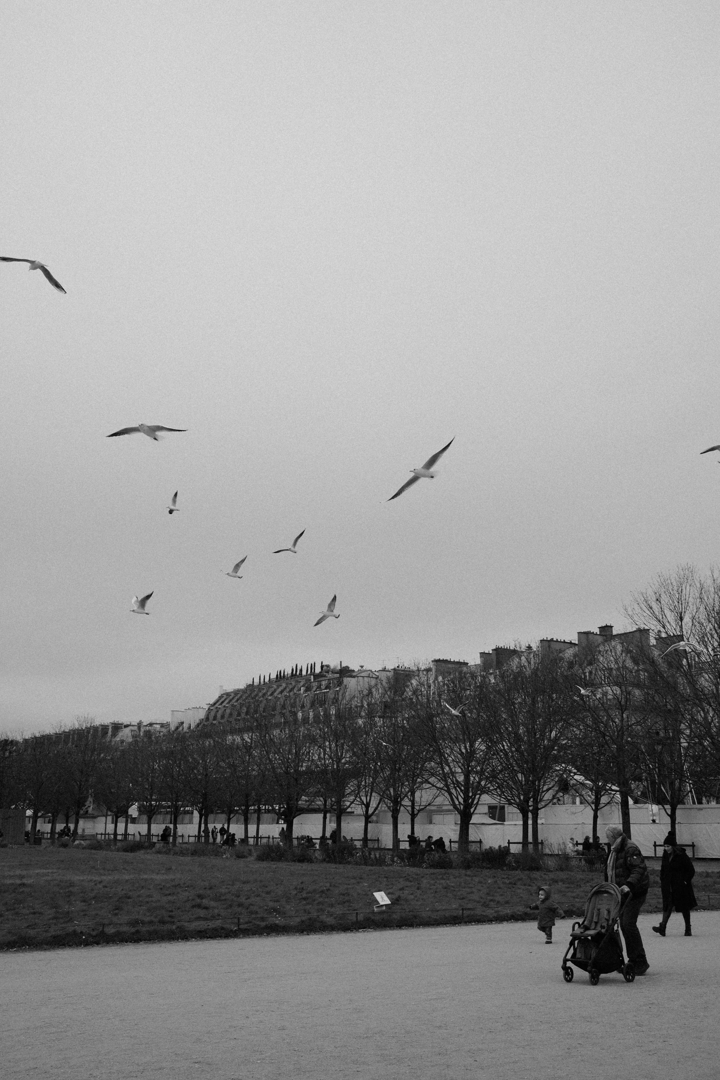 DSCF8869.jpg