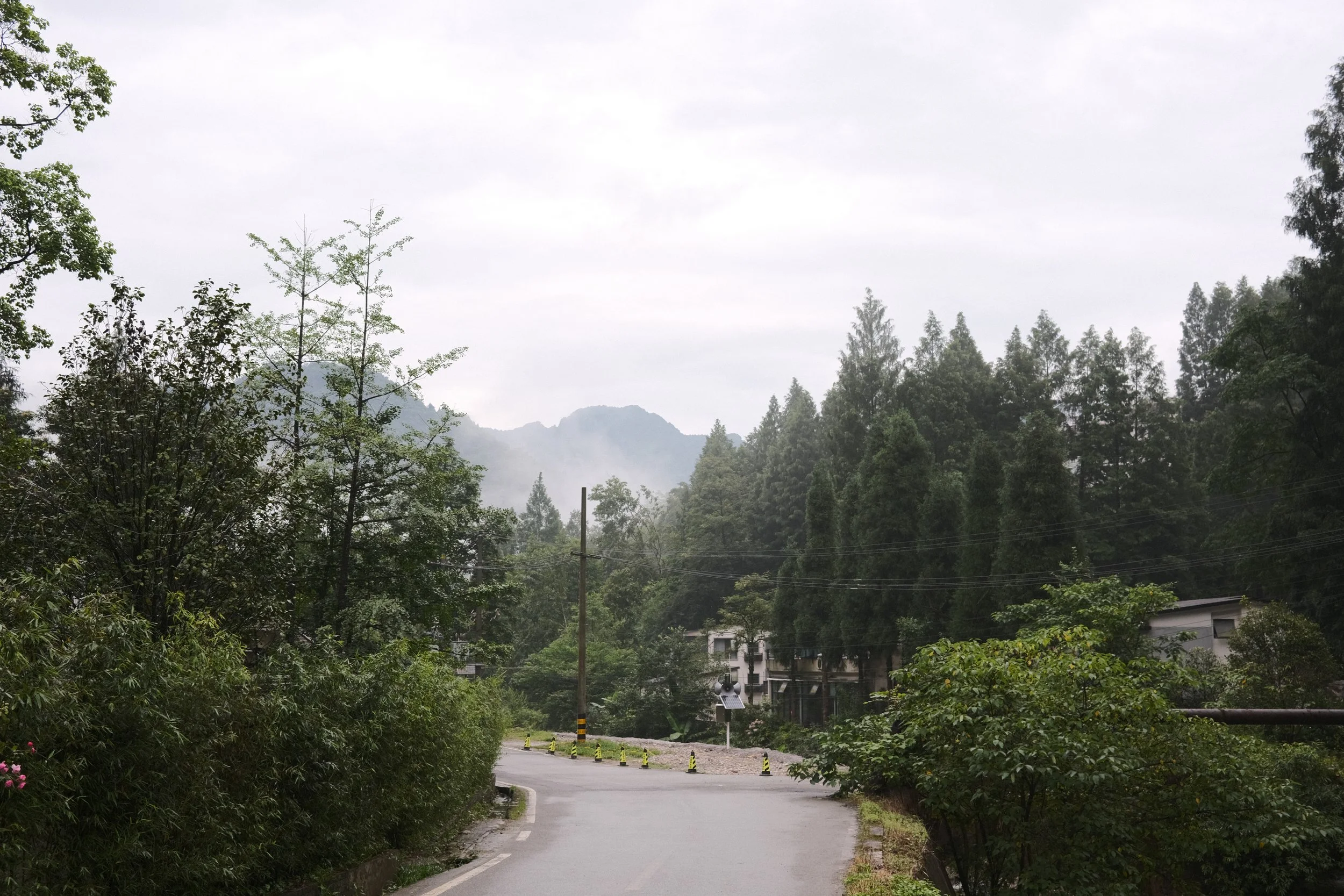 DSCF5882.jpg