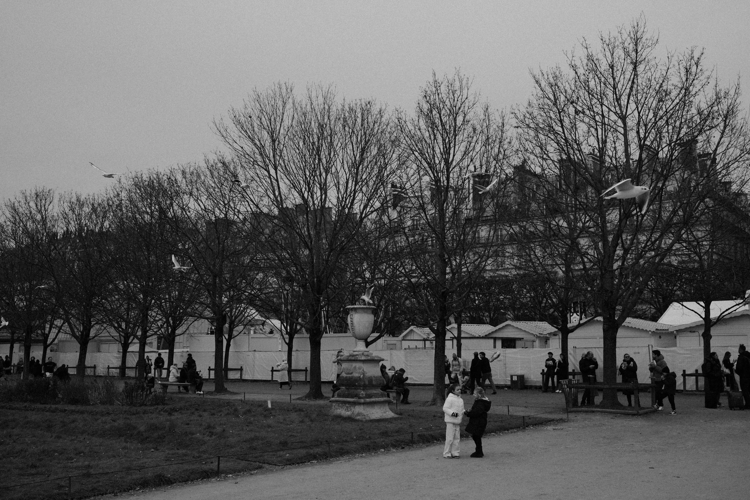 DSCF8878.jpg