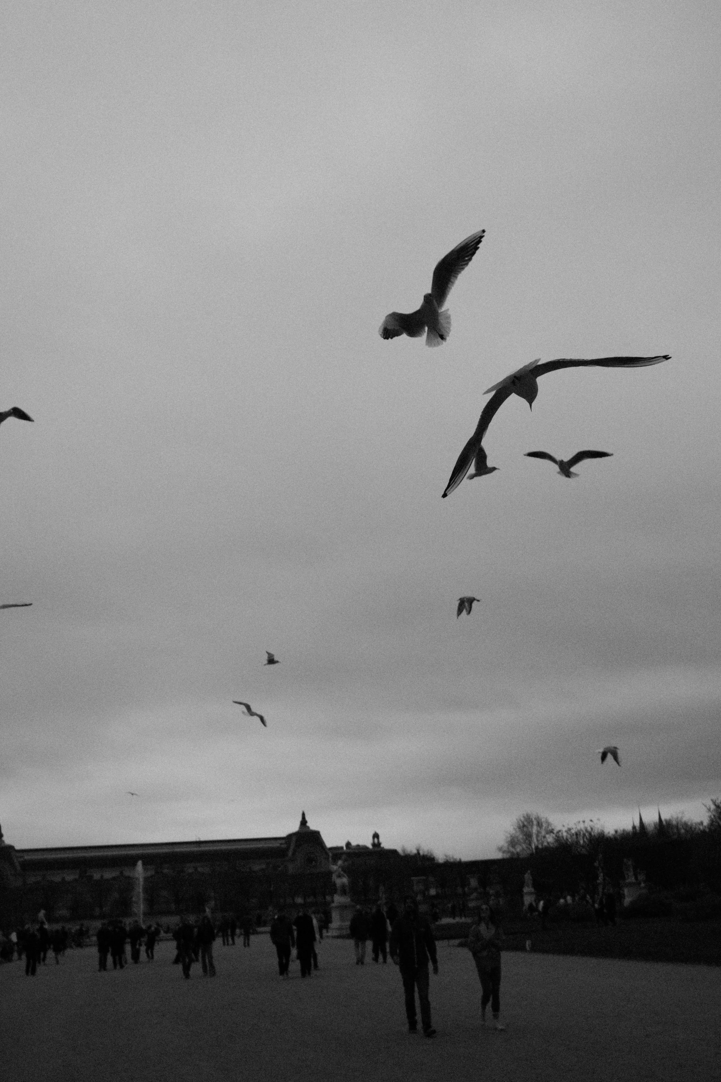 DSCF8883.jpg