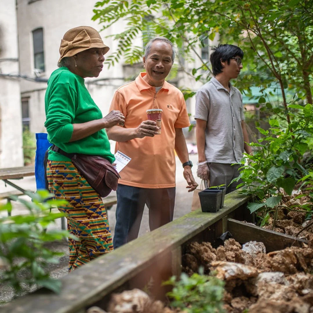 🍄 Join us to TODAY for our COMMUNITY DAY 🙏  A day of connection, cultivation, and community care in the South Bronx 💚

✨ Workshops + Demos + Farm Tours +  Microgreens &amp; Mushrooms CSA Info Session: 
Mi Oh My Farms is making it easier than ever 