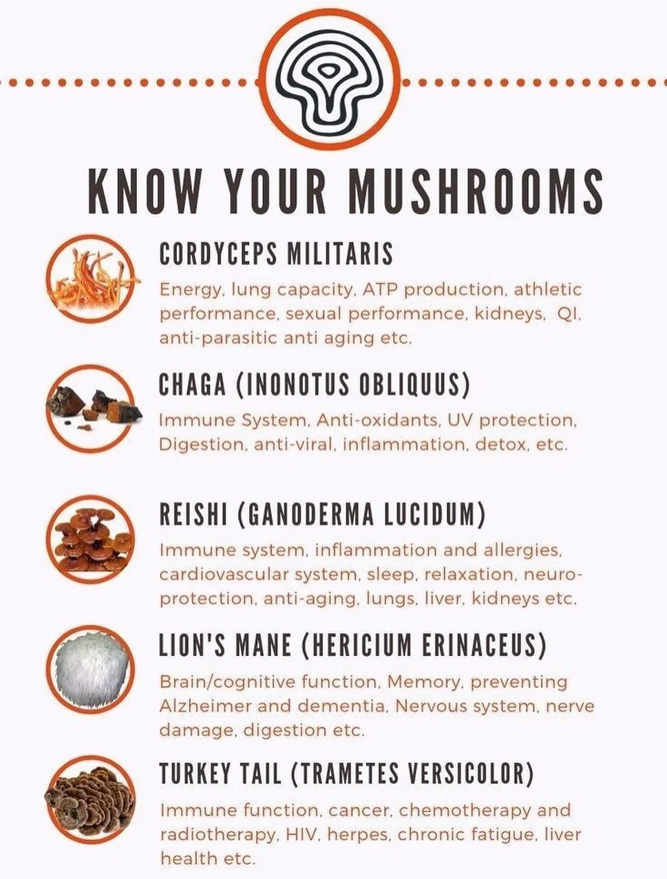 It&rsquo;s Mushroom foraging time!!! 🍄&zwj;🟫🍄&zwj;🟫🍄&zwj;🟫 especially Look out for reishi and soon turkey tail, our most popular mushroom extract. 💕
