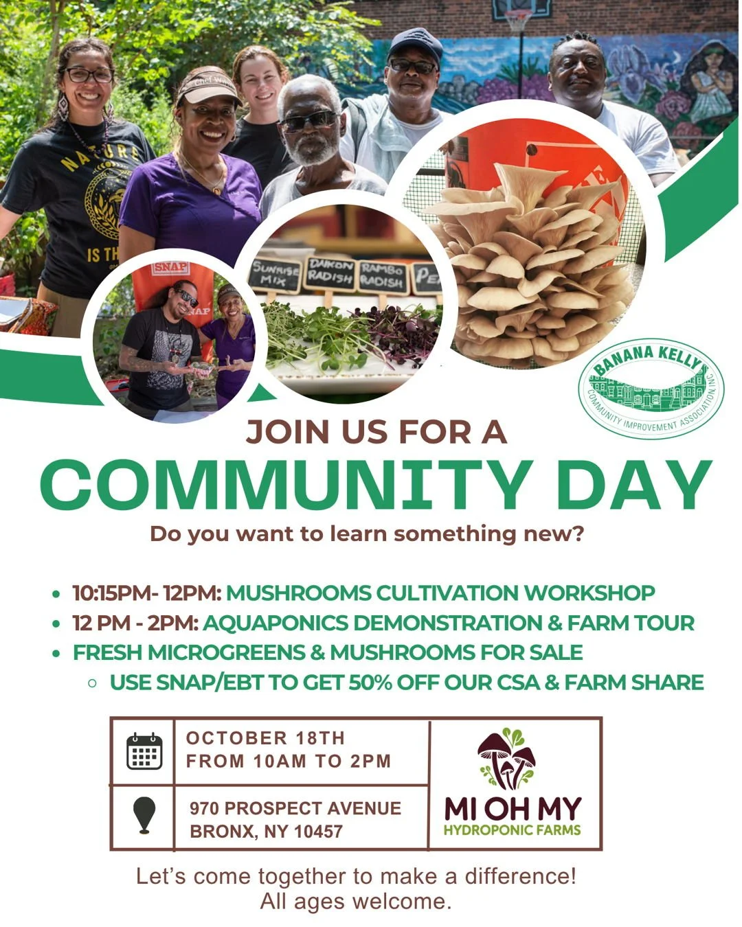 🌱 Join Us for a Community Day at Mi Oh My Farms! 🍄
📅 Friday, October 18th | 🕙 10 AM – 2 PM
📍 970 Prospect Ave, Bronx, NY 10457
Come learn, grow, and connect with your neighbors at our Bronx farm!
✨ Schedule Highlights:
🍄 10:15 AM&ndash