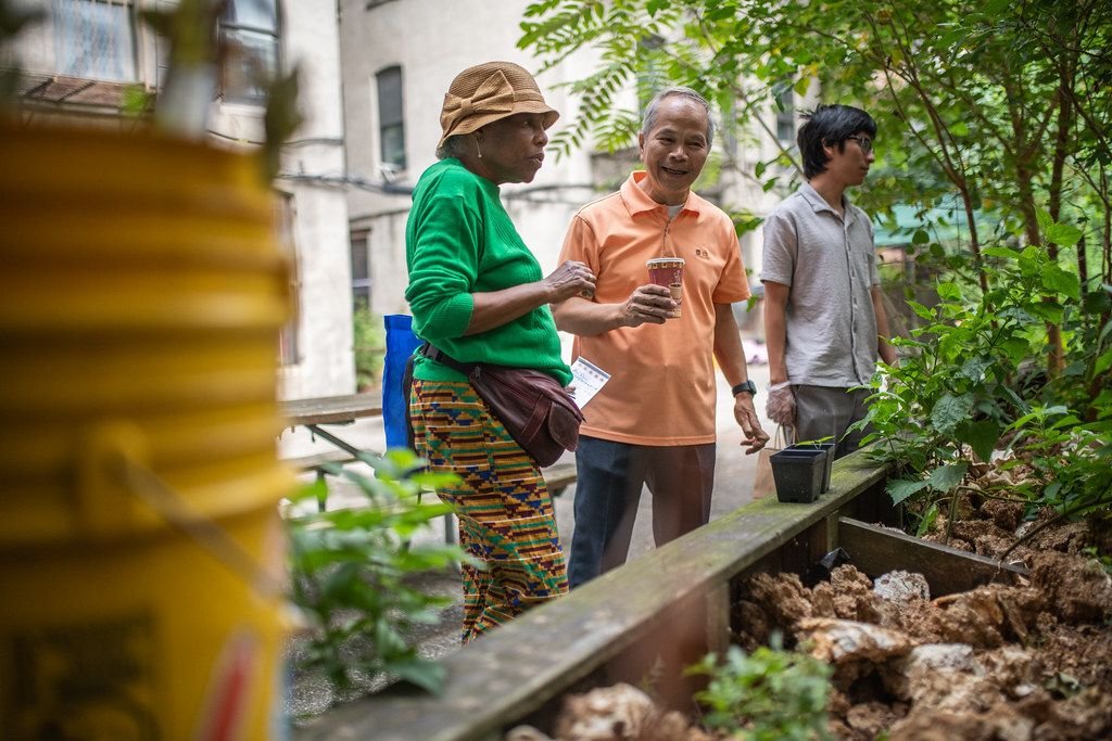 Big things are growing in the Bronx. 🌱

We&rsquo;re honored to share that Mi Oh My Farms was awarded a microgrant from @farmschool_nyc to support the expansion of our urban agriculture and Bronx food justice initiatives! This funding helps us contin