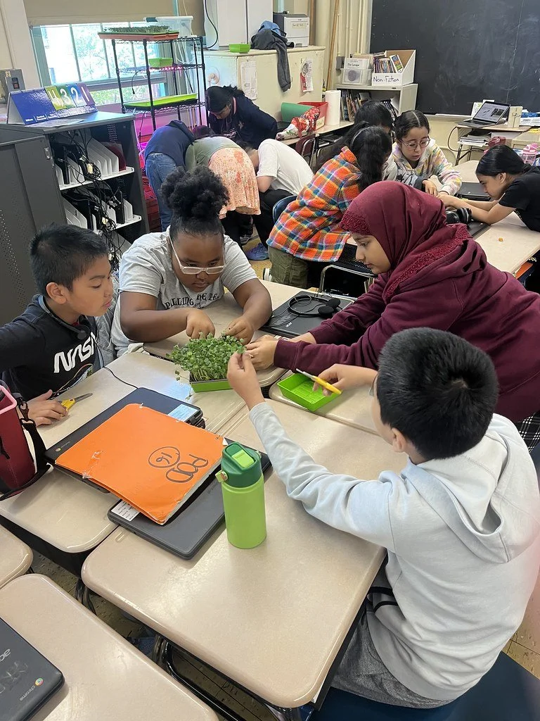 Five students sitting around a table in a classroom, holding bowls of sprouted greens, with some microgreens on the table.
