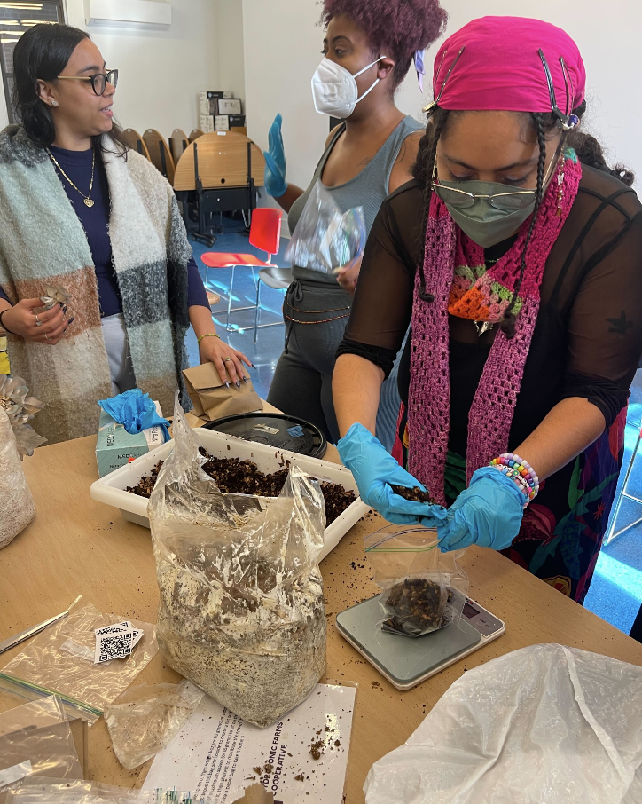 Screenshot 2025-01-16 at 1.46.52 PM.png