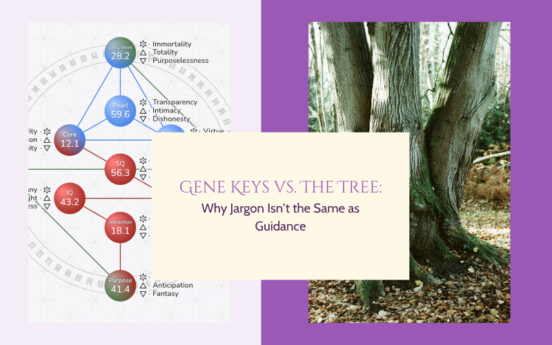 A side-by-side comparison of a Gene Keys profile and a tree with 3 trunks symbolizing the Tree of Life Soul Clarity Blueprint, representing the difference between abstract text and practical navigation steps.