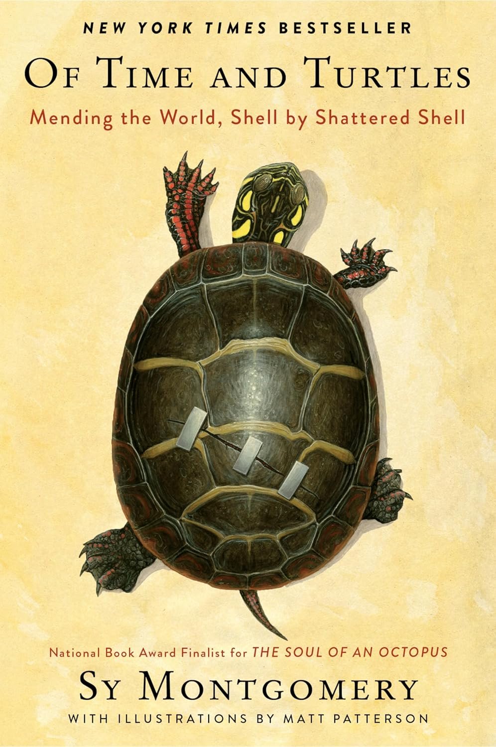 cover of Of Time and Turtles: Mending the World, Shell by Shattered Shell by Sy Montgomery