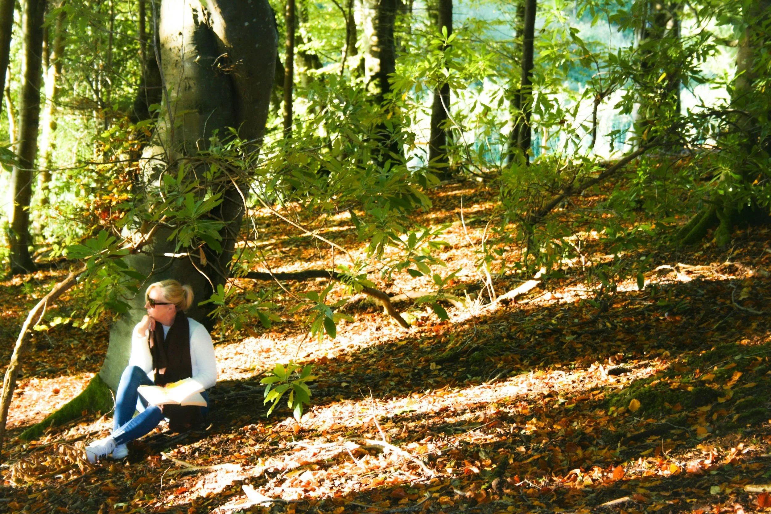 Contemplative writing in Nature at River Bend Community Park, St. Charles, featuring a peaceful wooded trail.