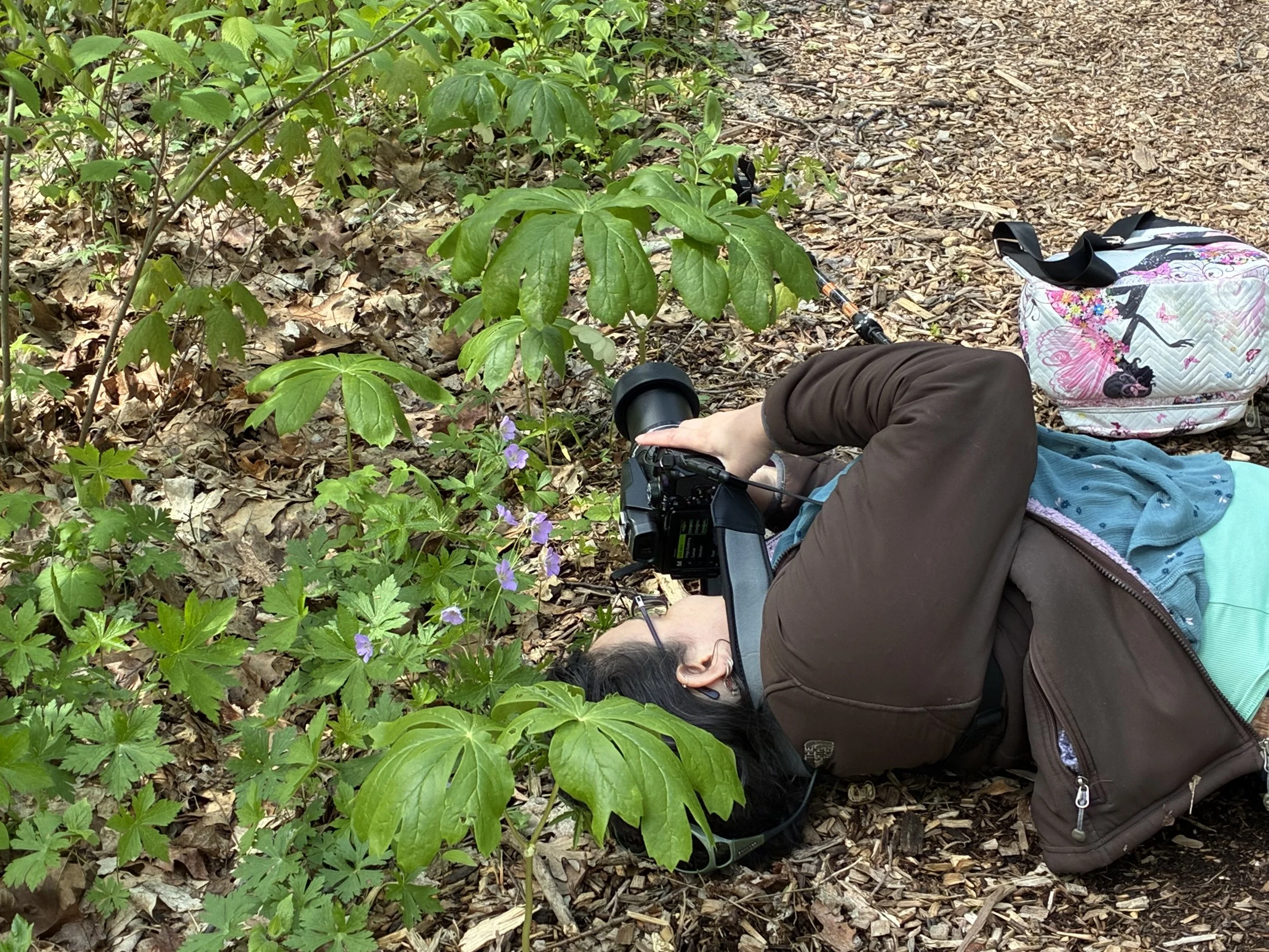 Sarah Woodard laying on the ground to commune with Nature and share the lessons