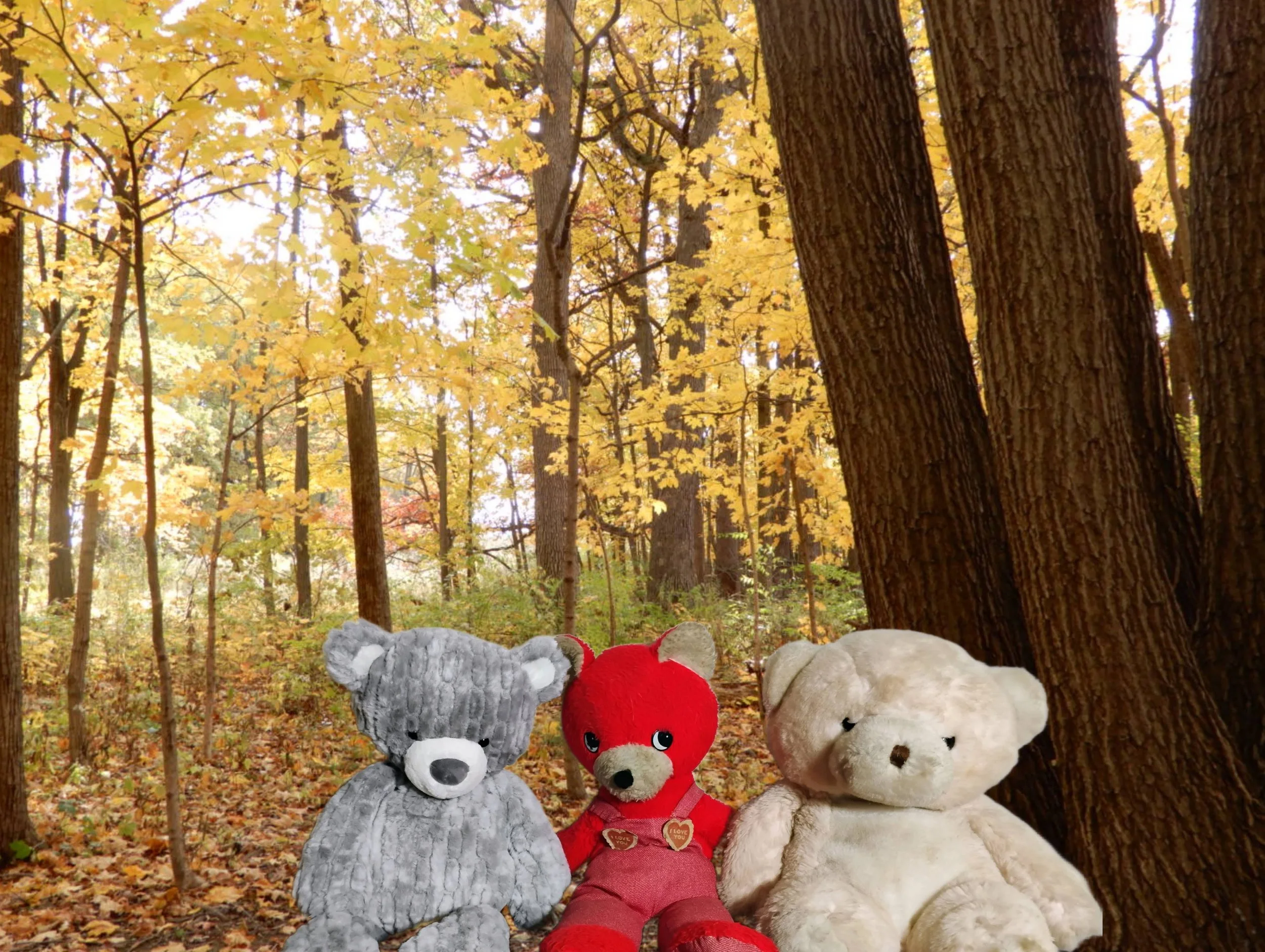whimsical nature photography 3 stuffed bear friends in the woods