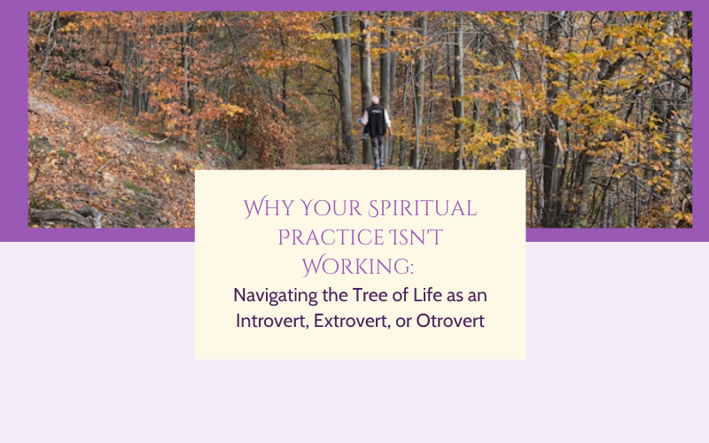 Person walking alone on a forest trail, sunlight filtering through trees, representing spiritual navigation and personality type