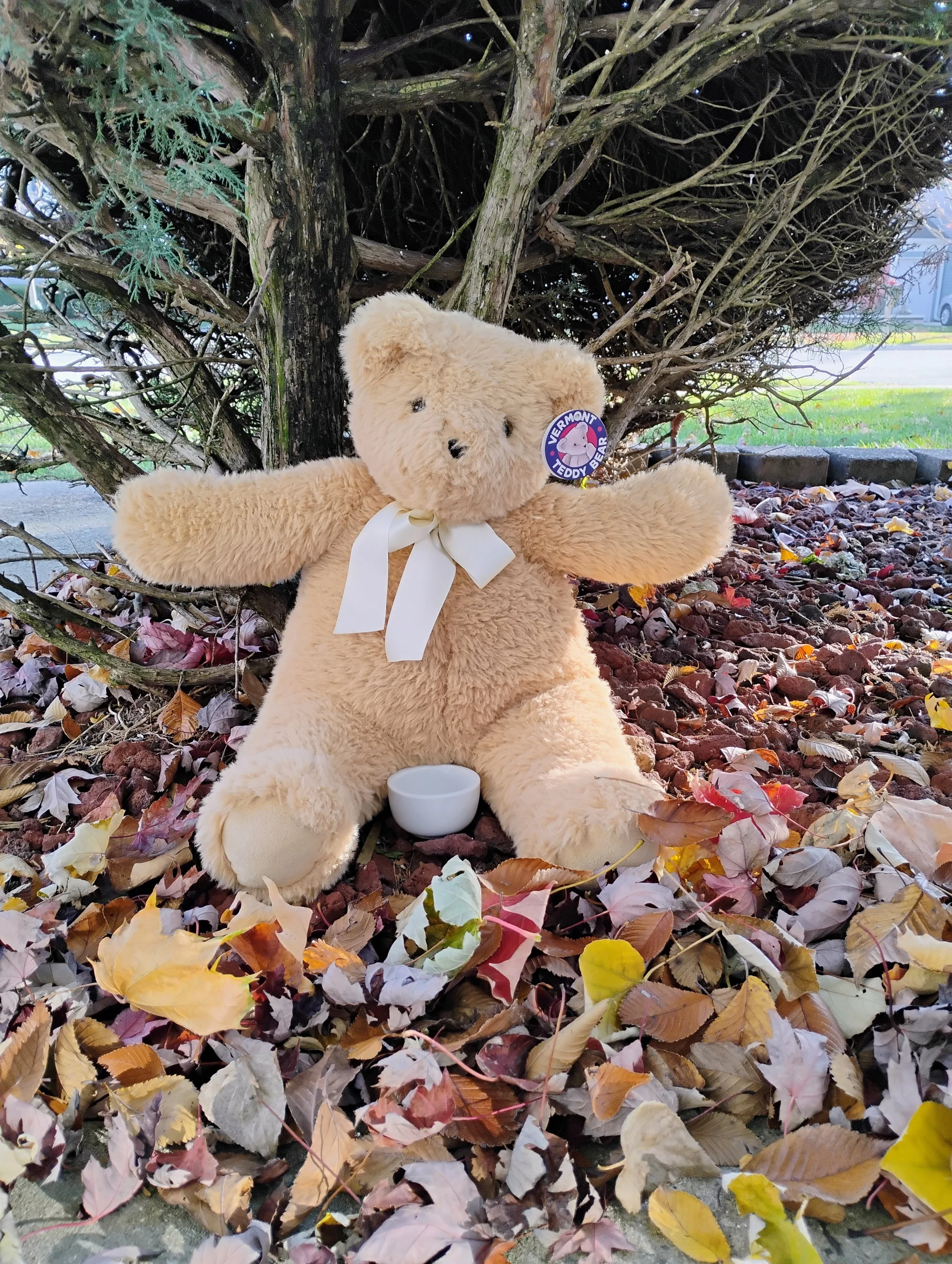 plushie in fall leaves with singing bowl