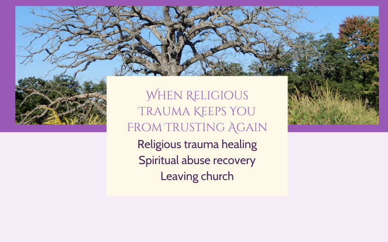 A resilient tree standing in a wide field during early spring, symbolizing the strength and endurance of the soul after religious trauma