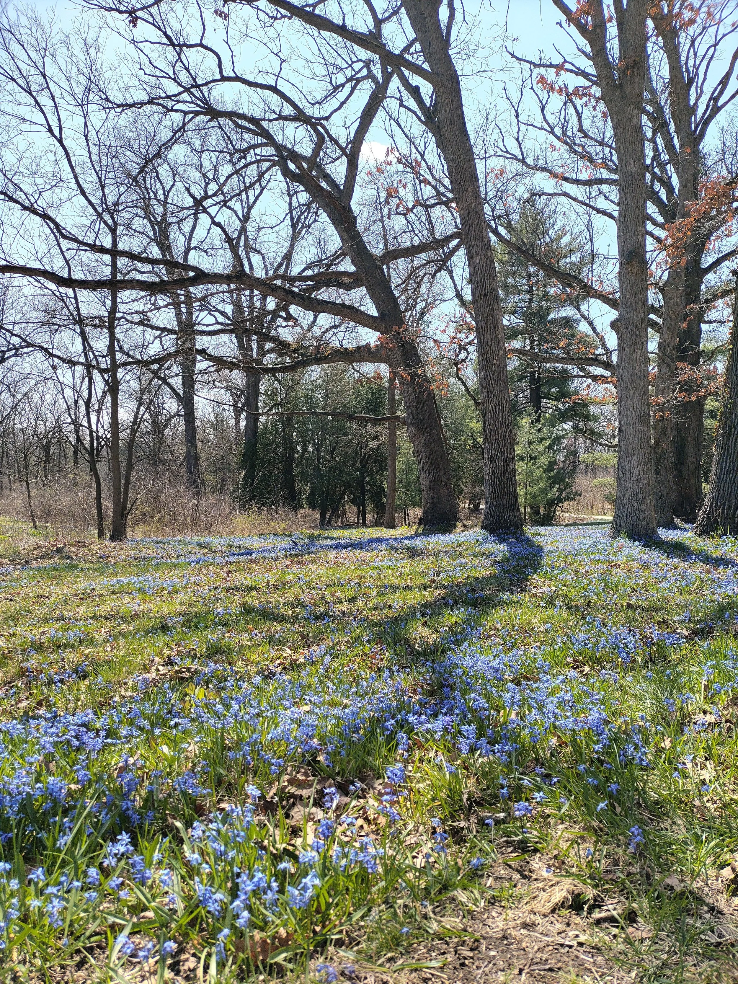 spiritual nature walk Warrenville, IL - DuPage County