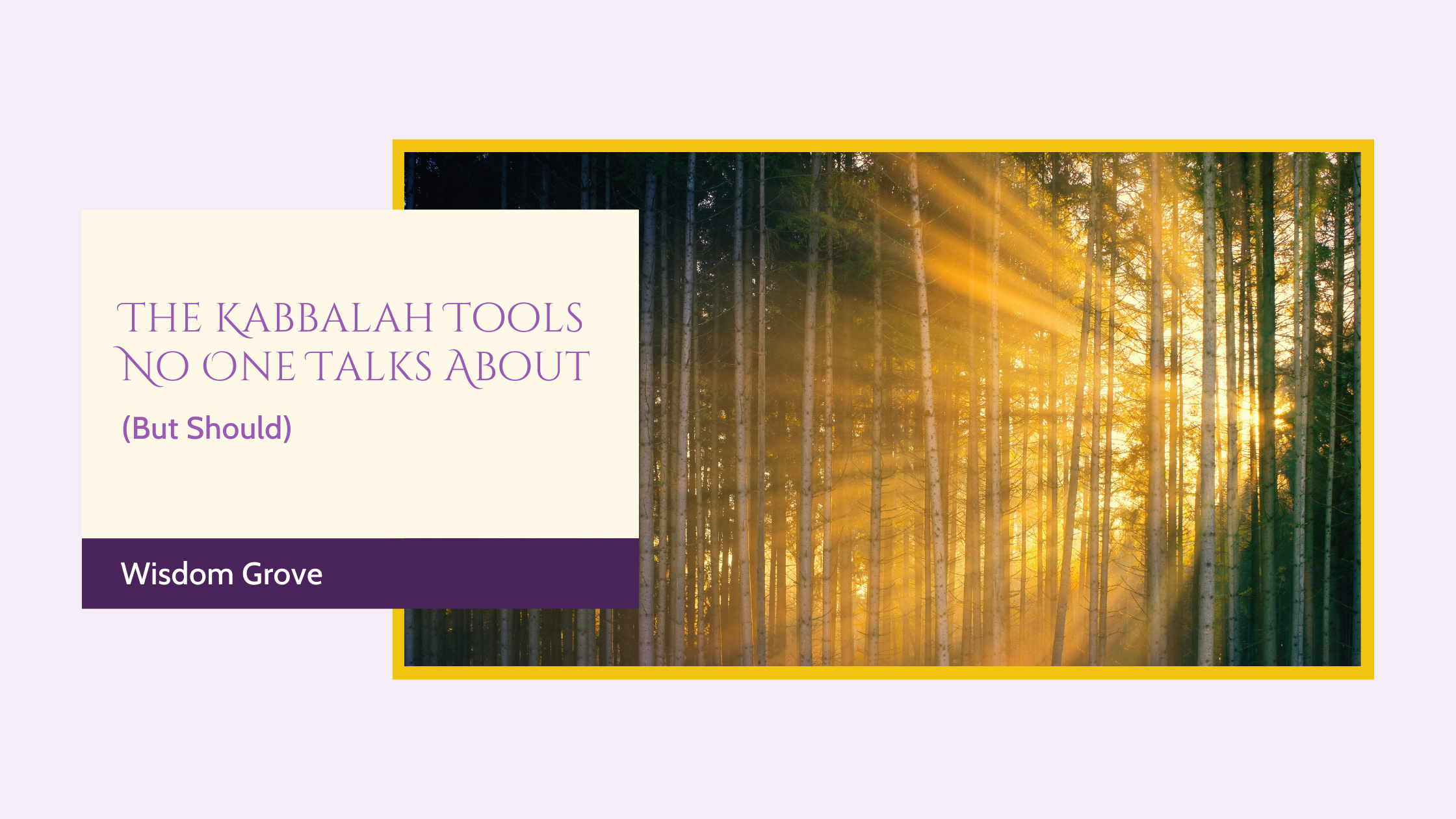 sunlight streaming through birch trees