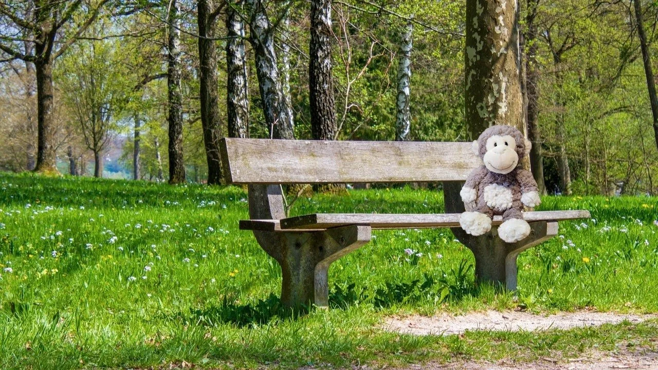 Herman the stuffed monkey sitting on a bench showing the peace of finding your path back to Divine connection