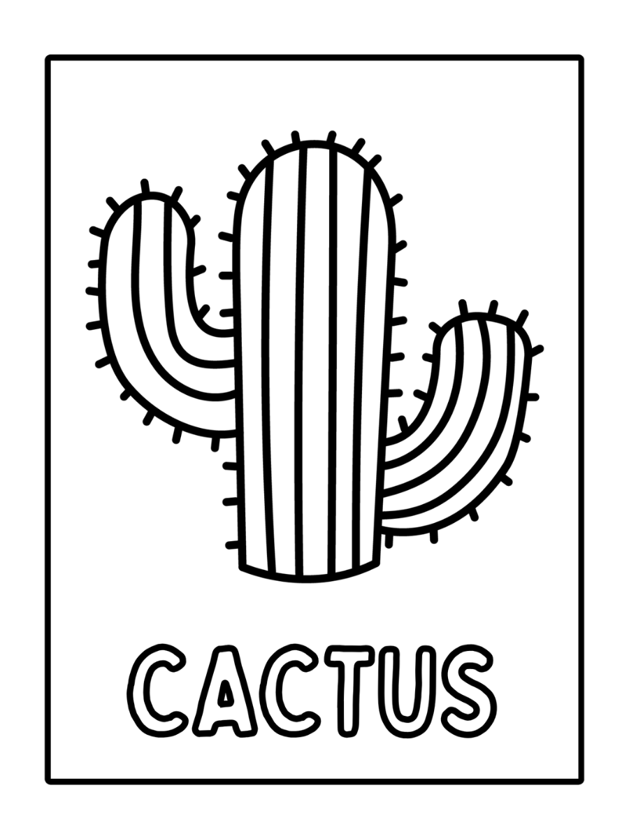 15.png