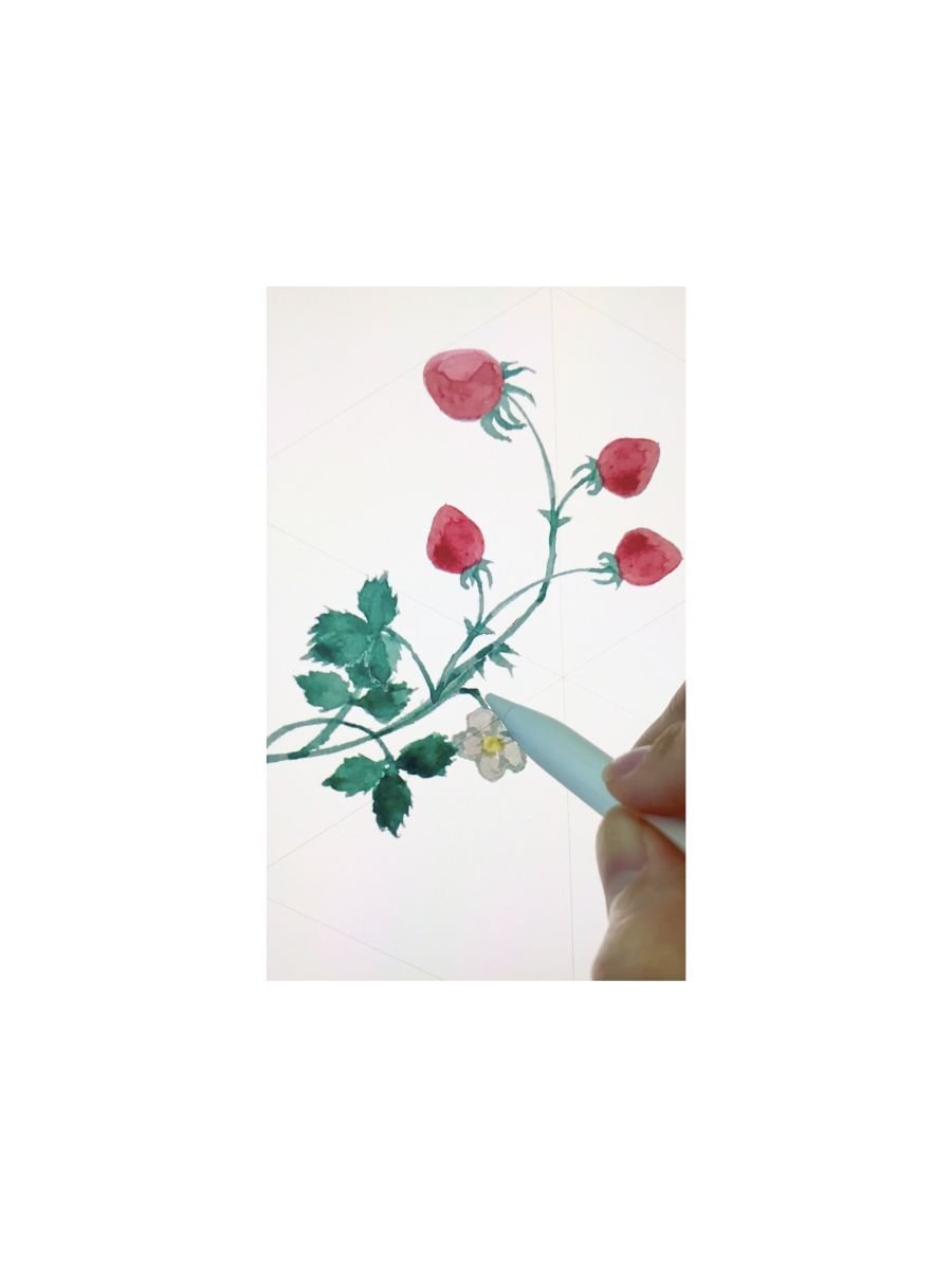 Untitled design-19.jpg
