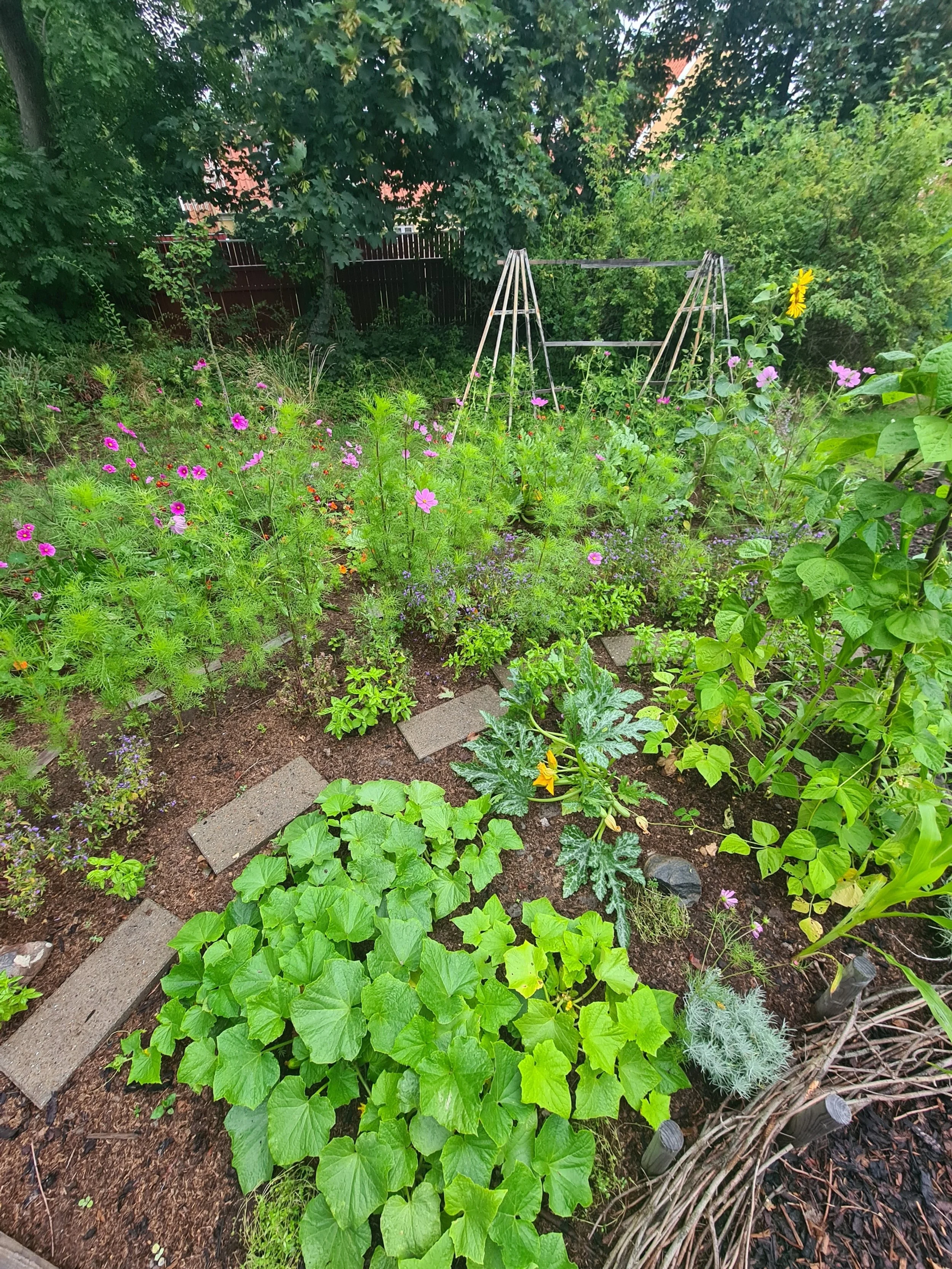A lush backyard garden with various flowering plants, green foliage, and a wooden trellis in the background.