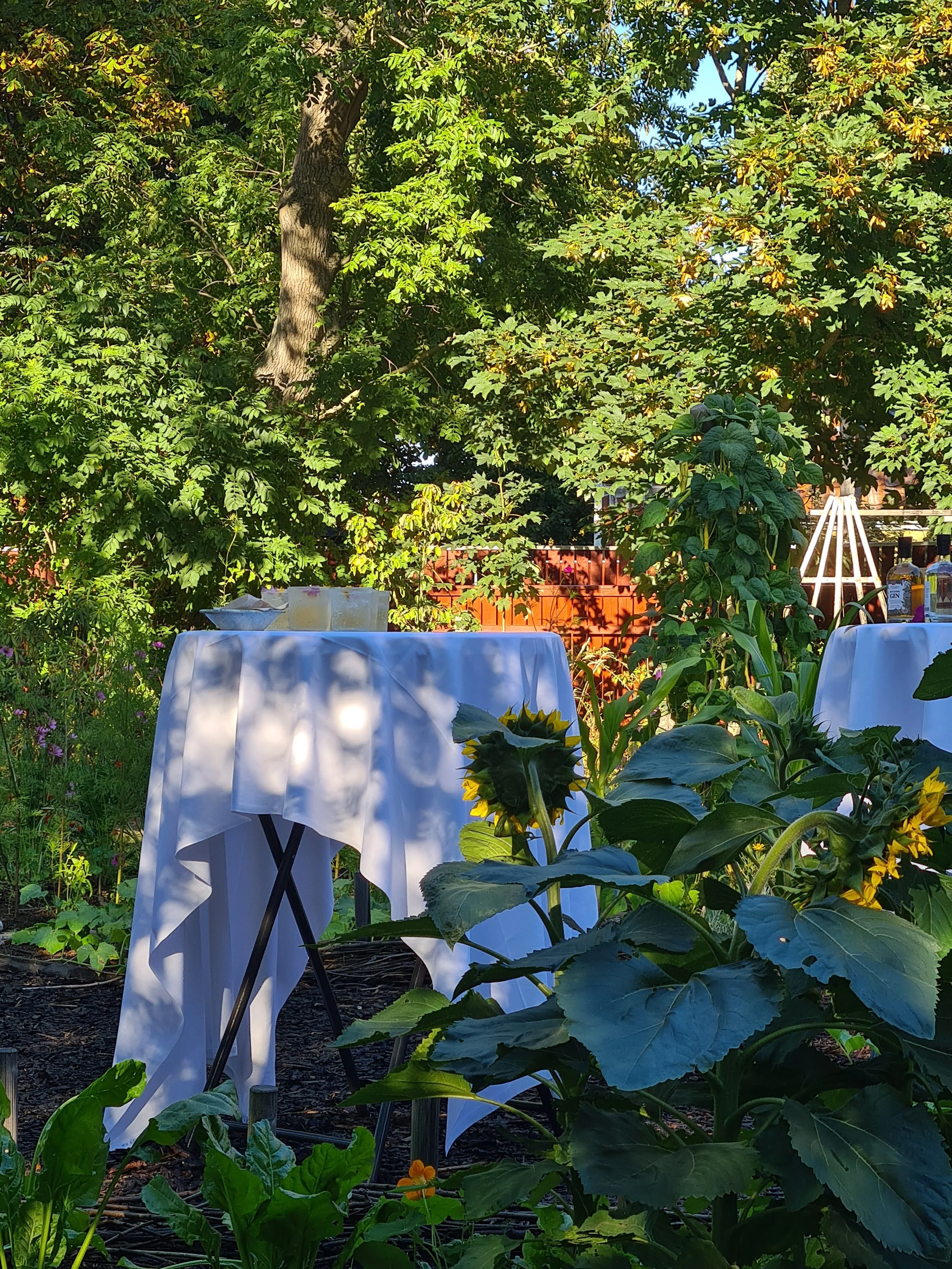 2022-08-25 17.30.03.jpg