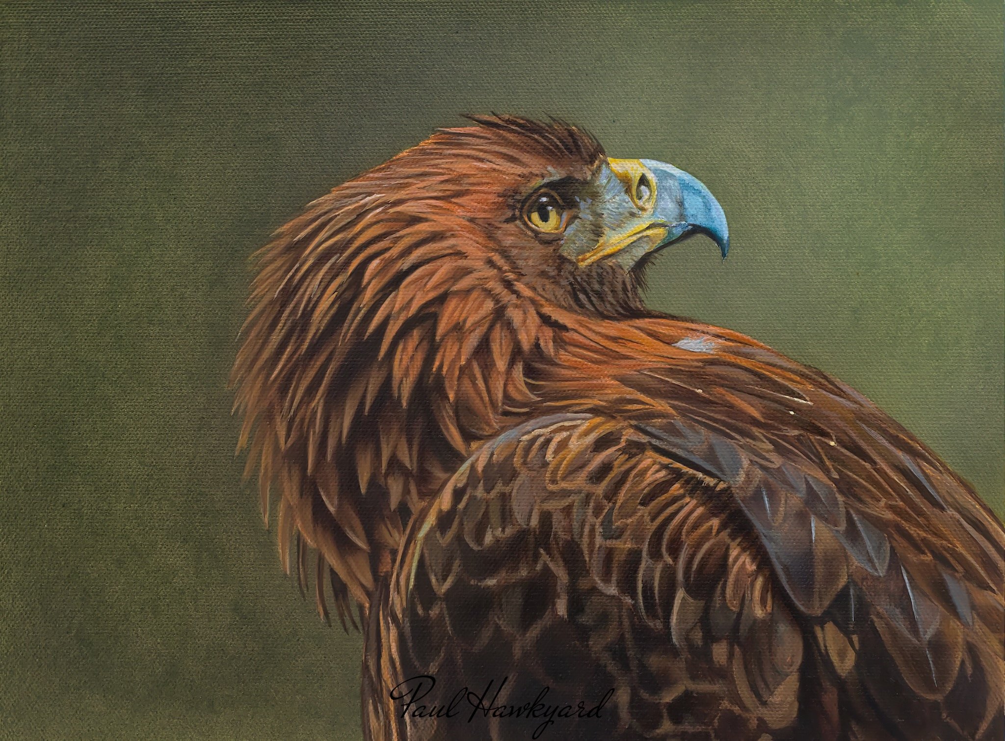 ORLA the GOLDEN EAGLE - Sold