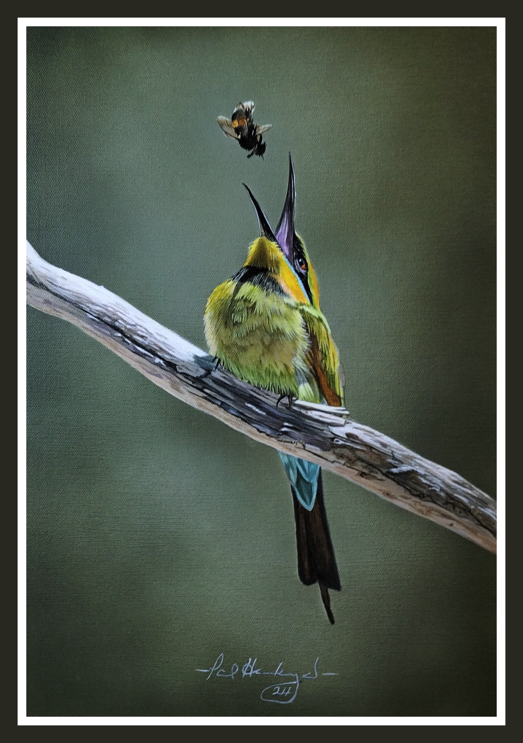 BEE EATER - Commission Sold