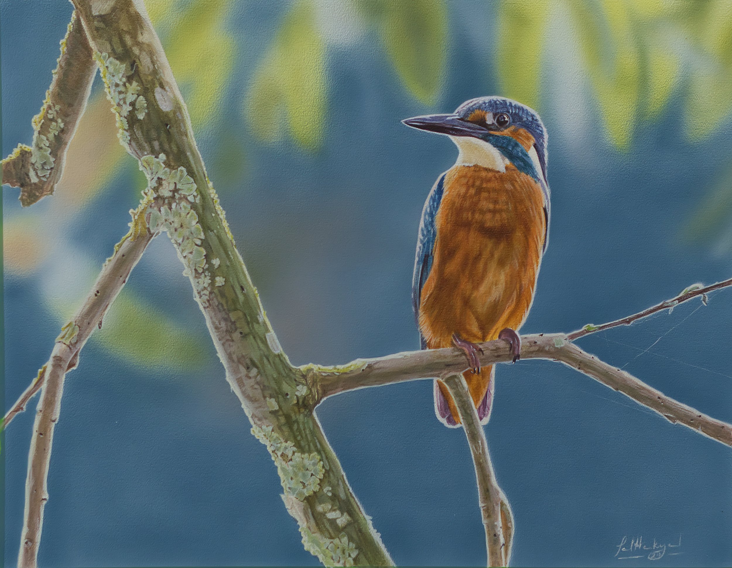 KINGFISHER